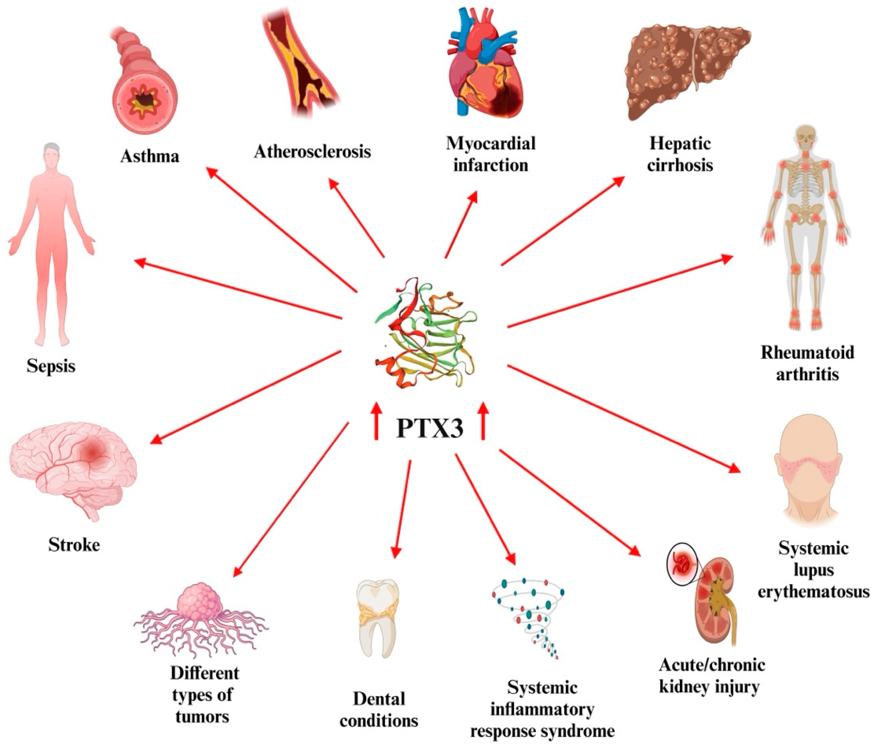 Biomedicines 13 00891 g001 Biomedicines 13 00891 g001