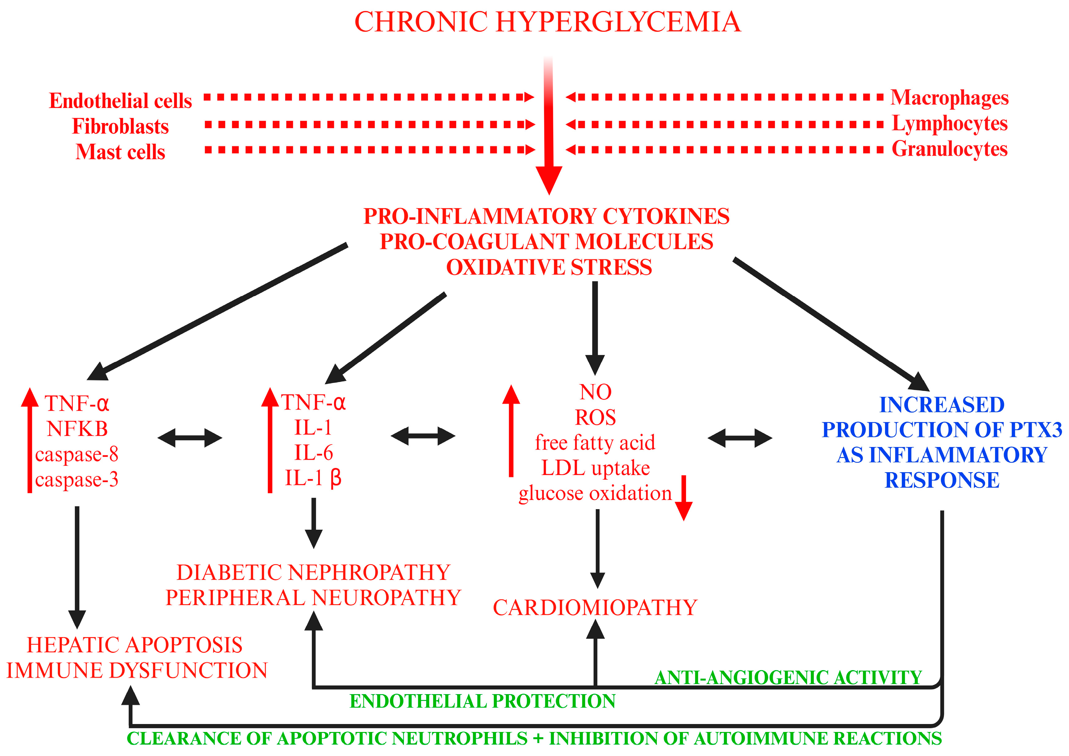 Biomedicines 13 00891 g002 Biomedicines 13 00891 g002