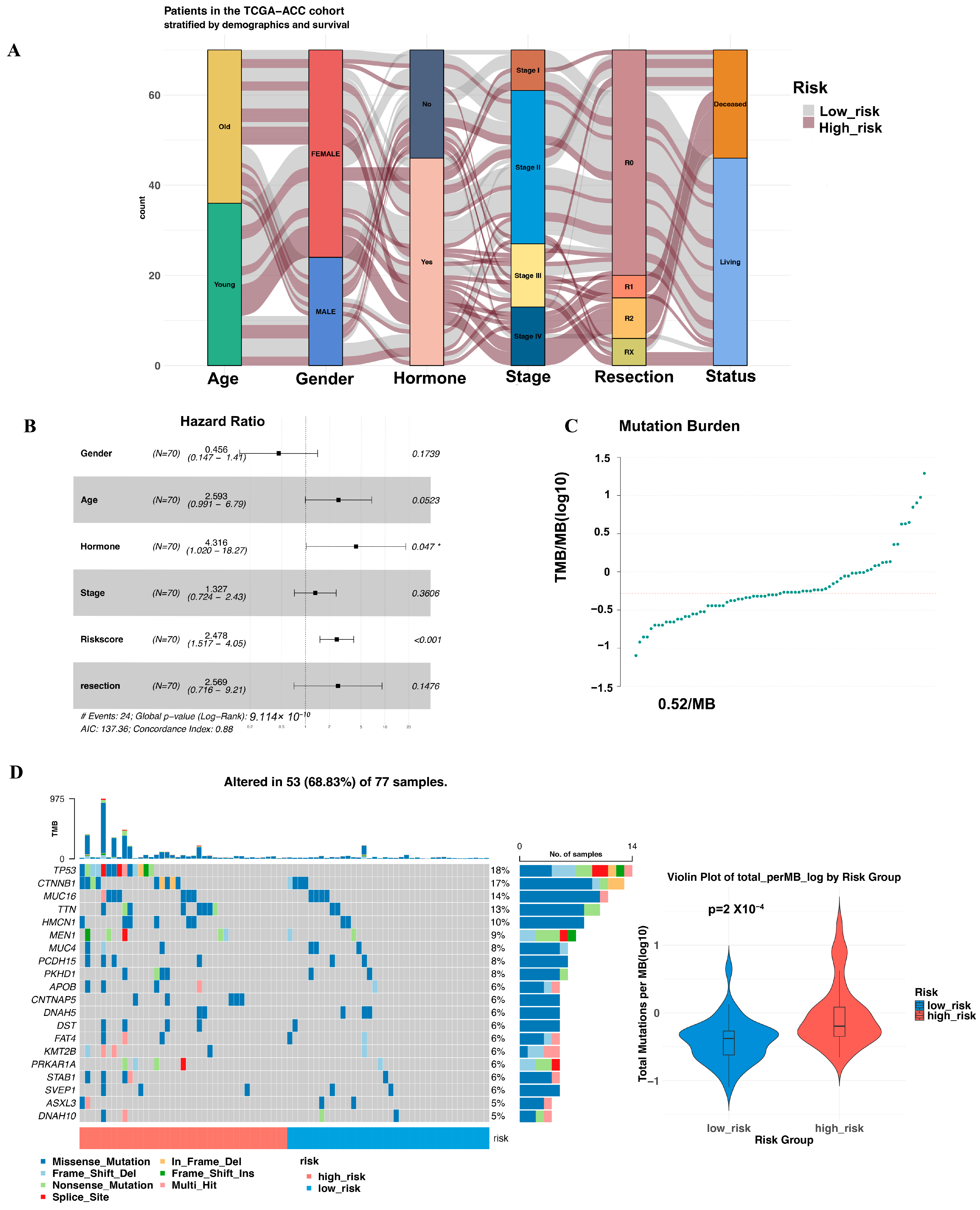Biomedicines 13 00894 g003