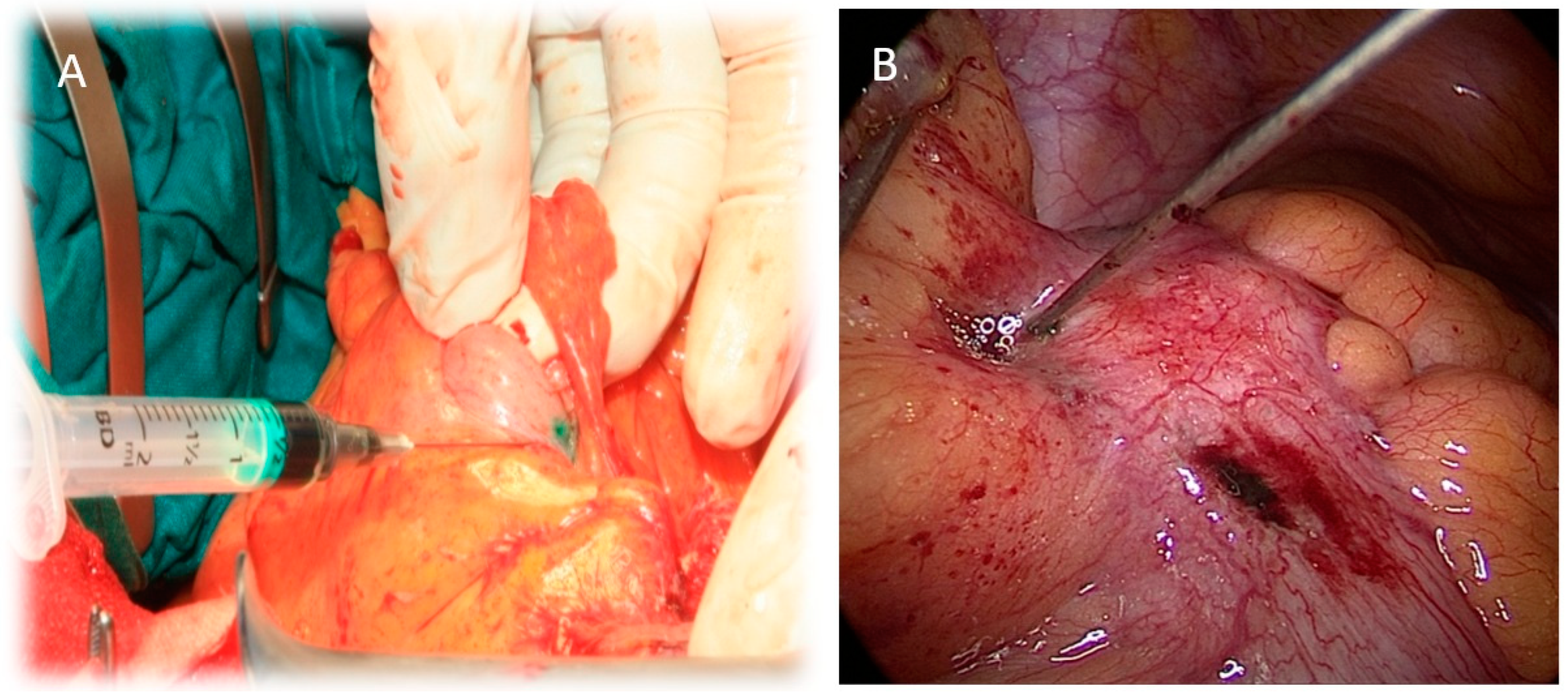 Biomedicines 13 00902 g001