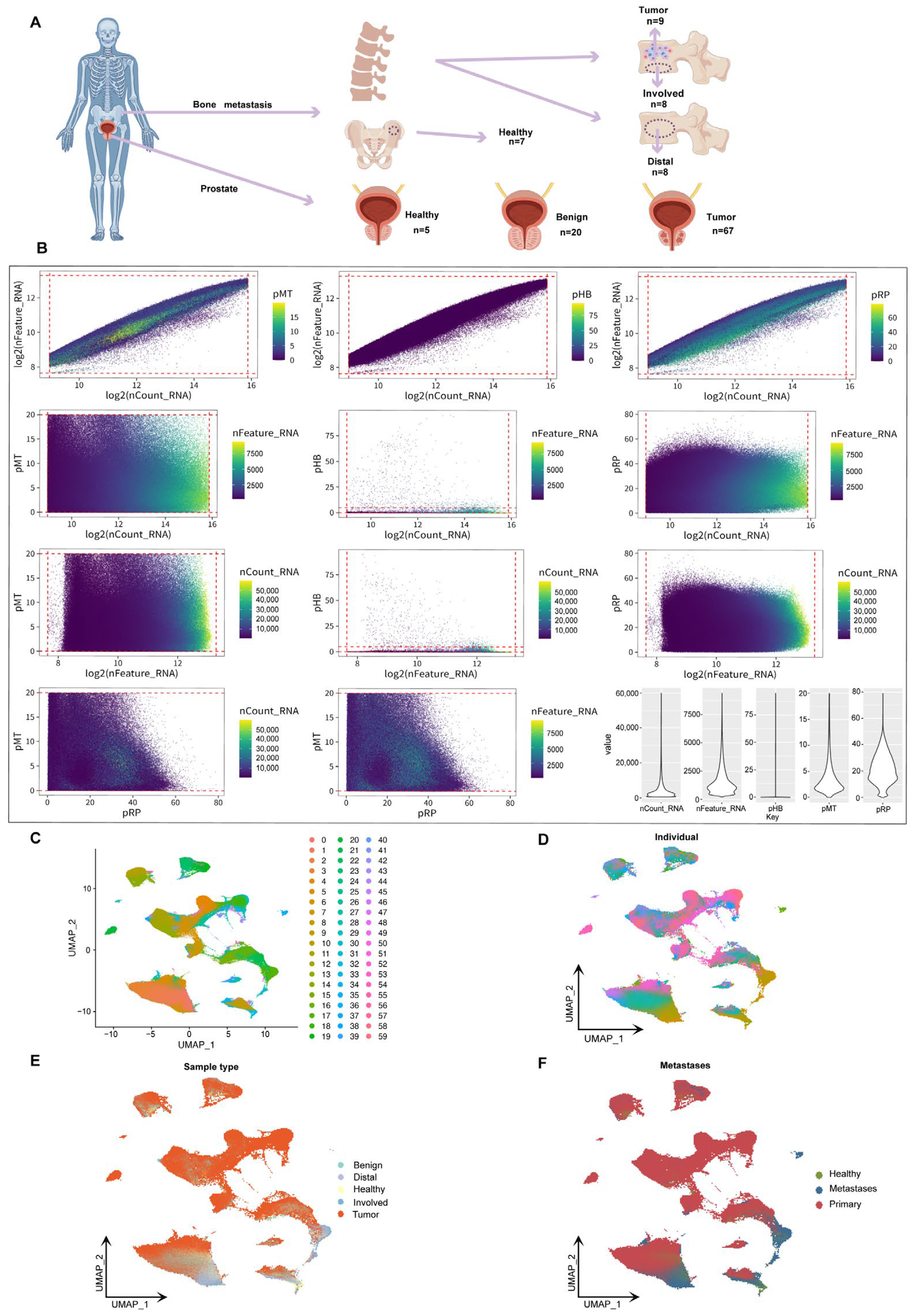 Biomedicines 13 00909 g001