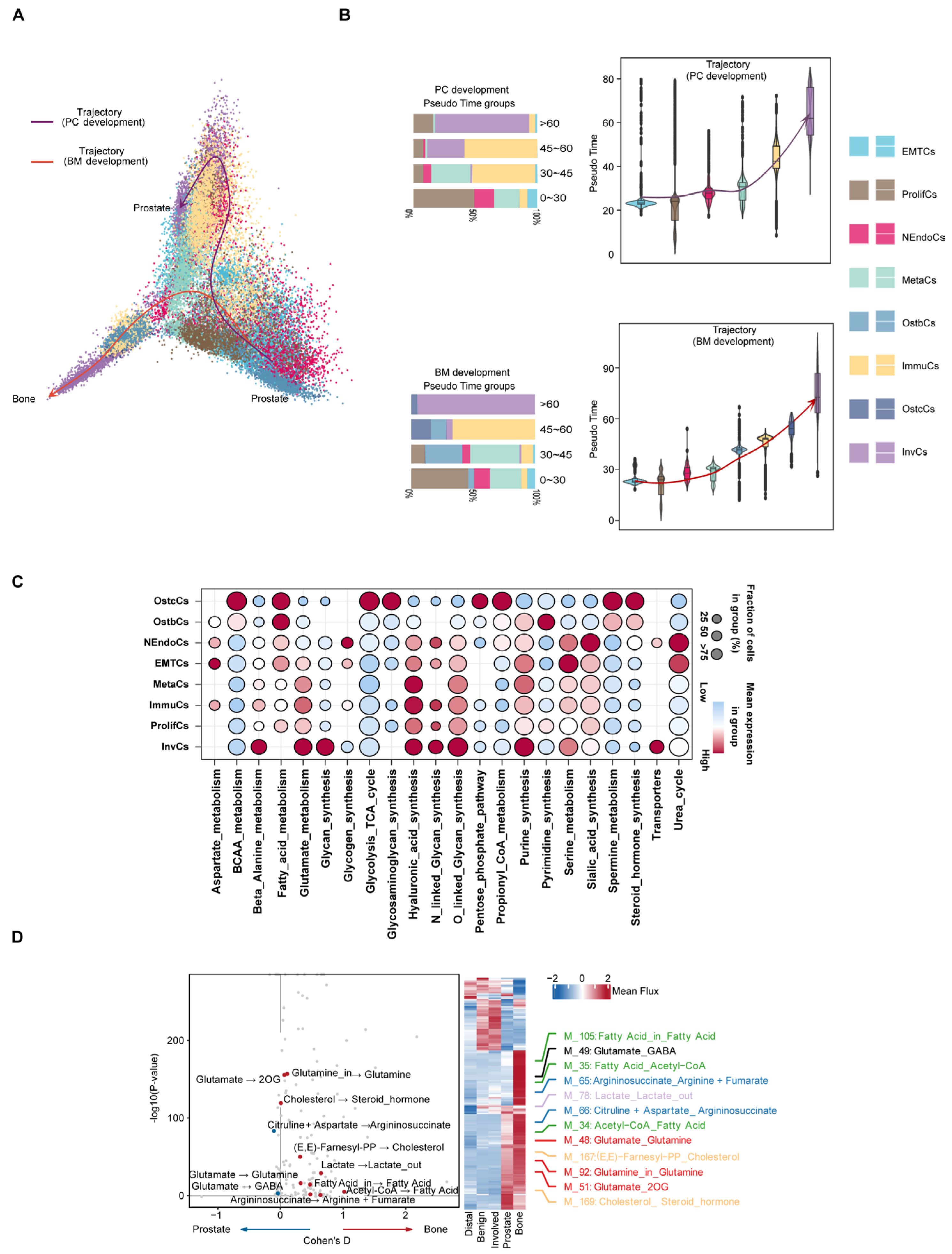 Biomedicines 13 00909 g004