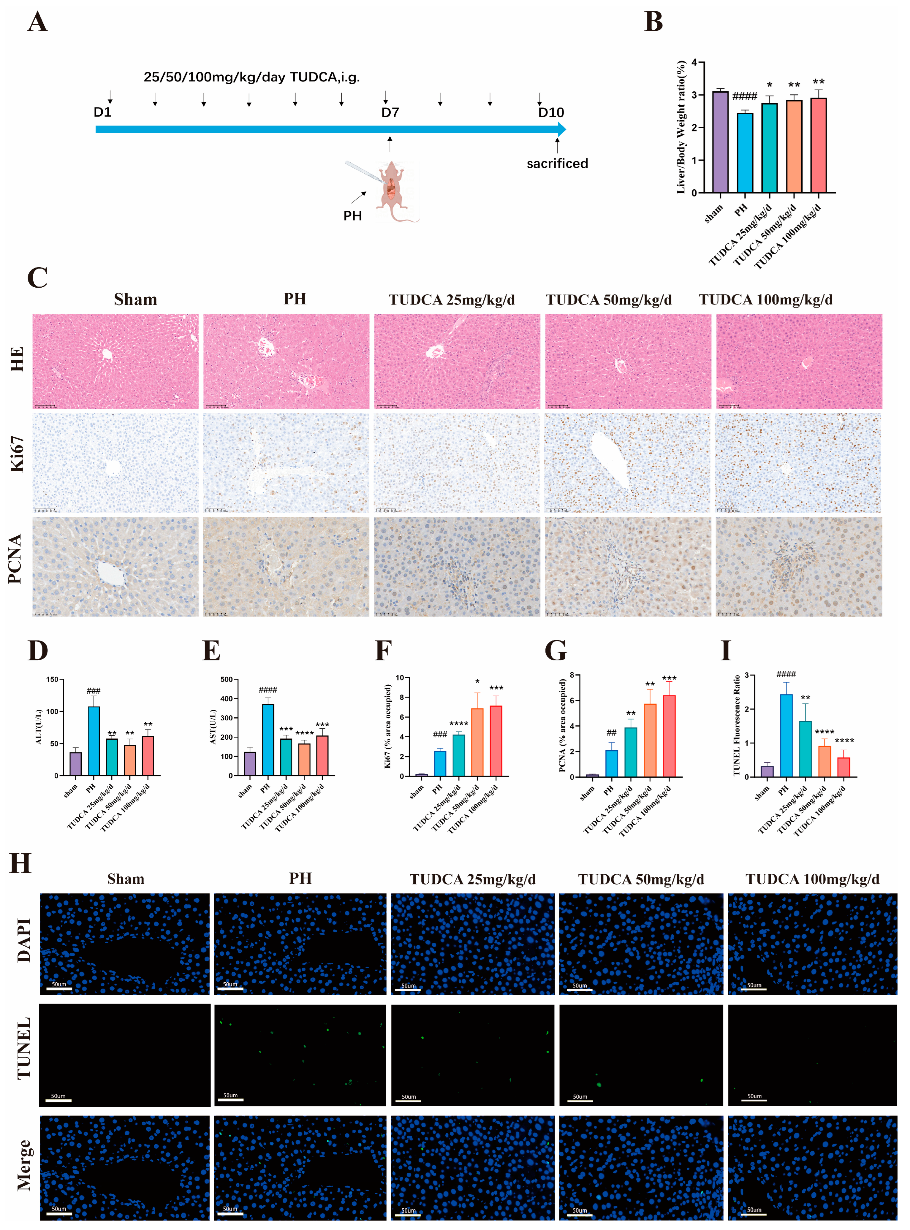 Biomedicines 13 00910 g002