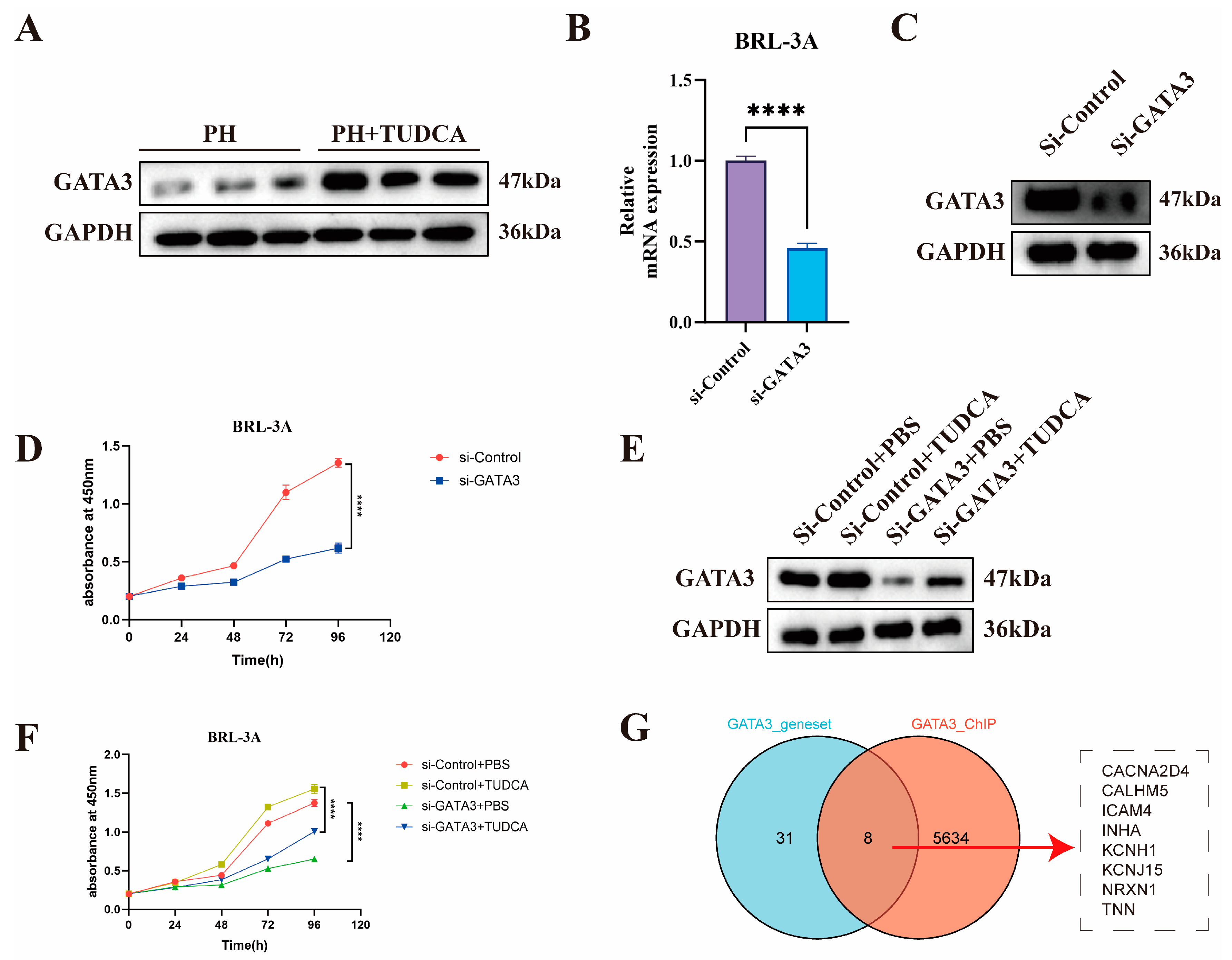 Biomedicines 13 00910 g006