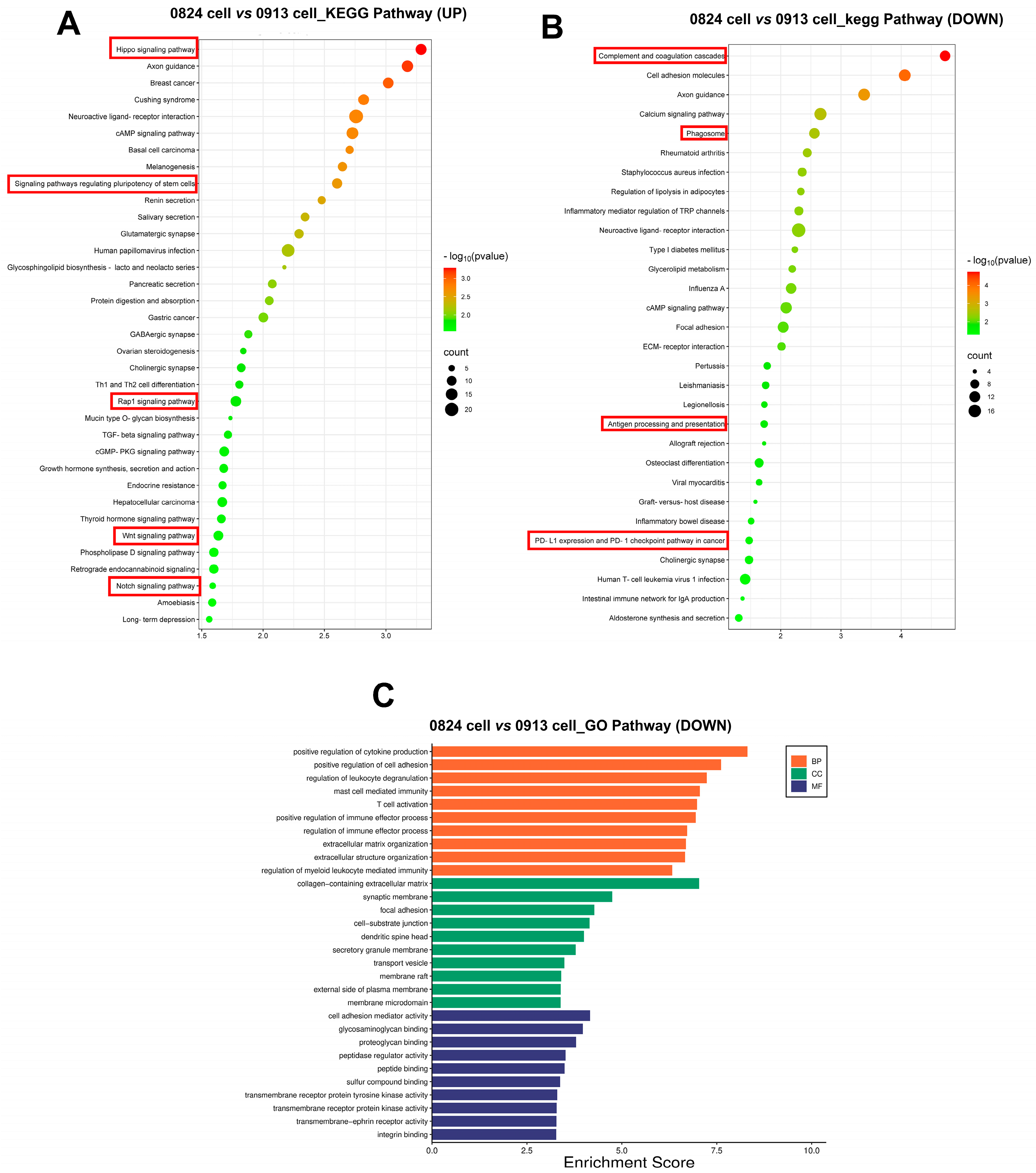 Biomedicines 13 00912 g007