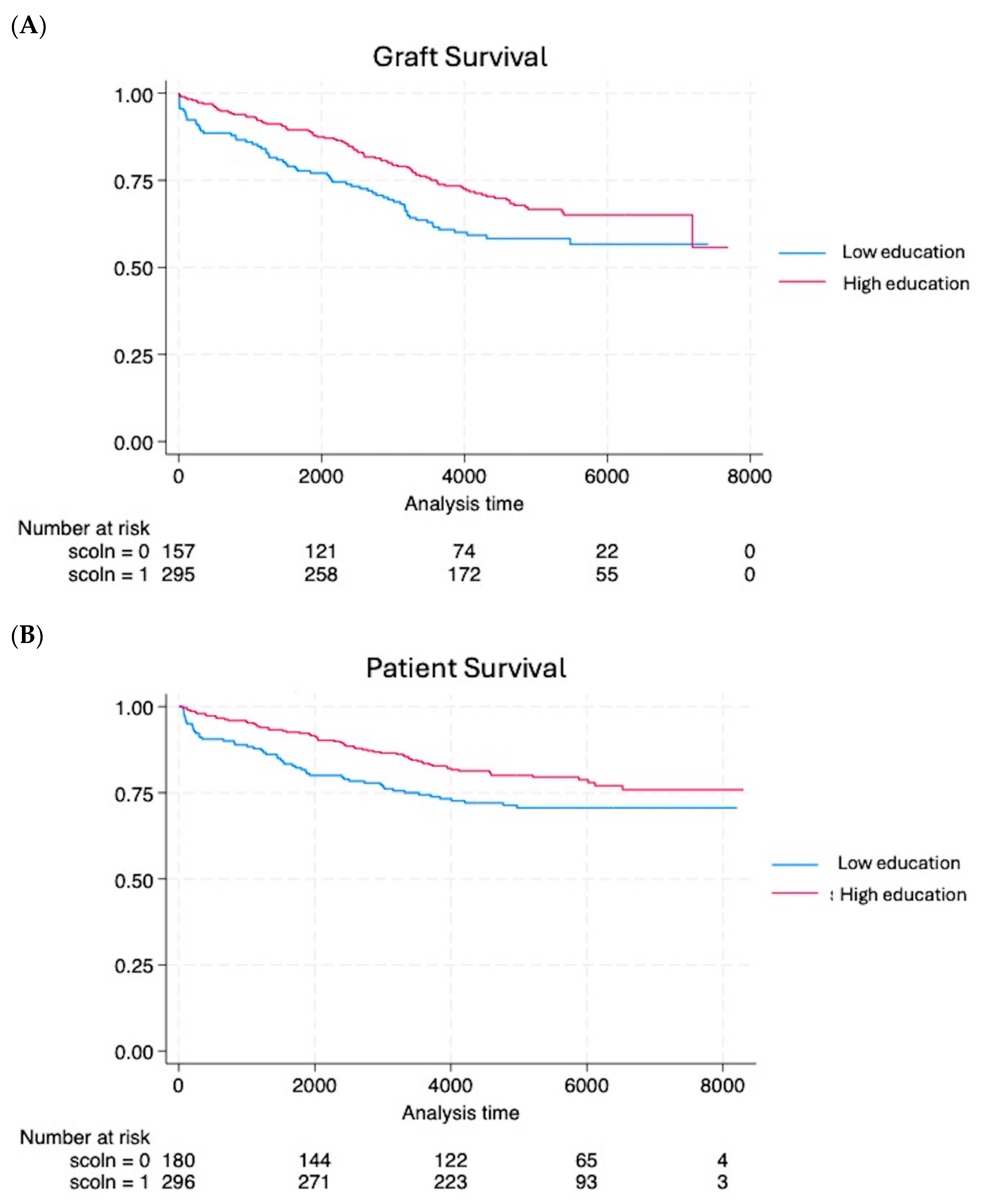 Biomedicines 13 00916 g001