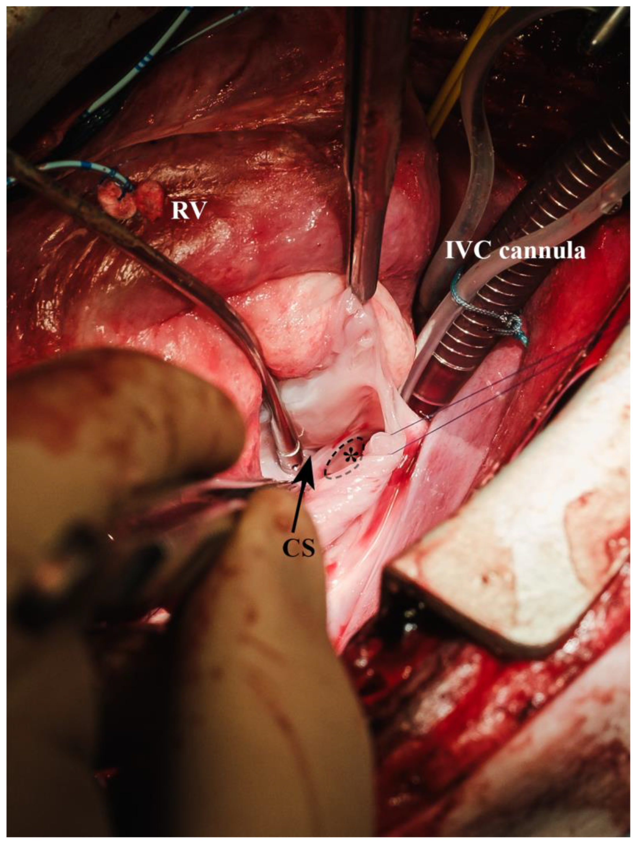 Biomedicines 13 00918 g009 Biomedicines 13 00918 g009