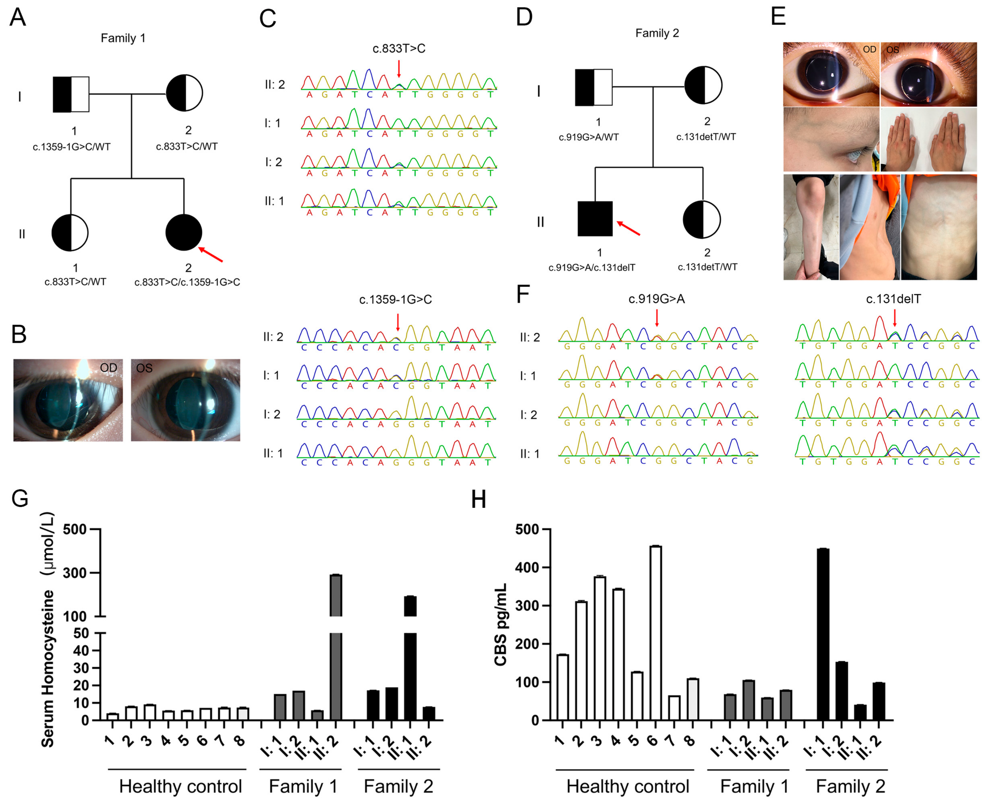 Biomedicines 13 00919 g001