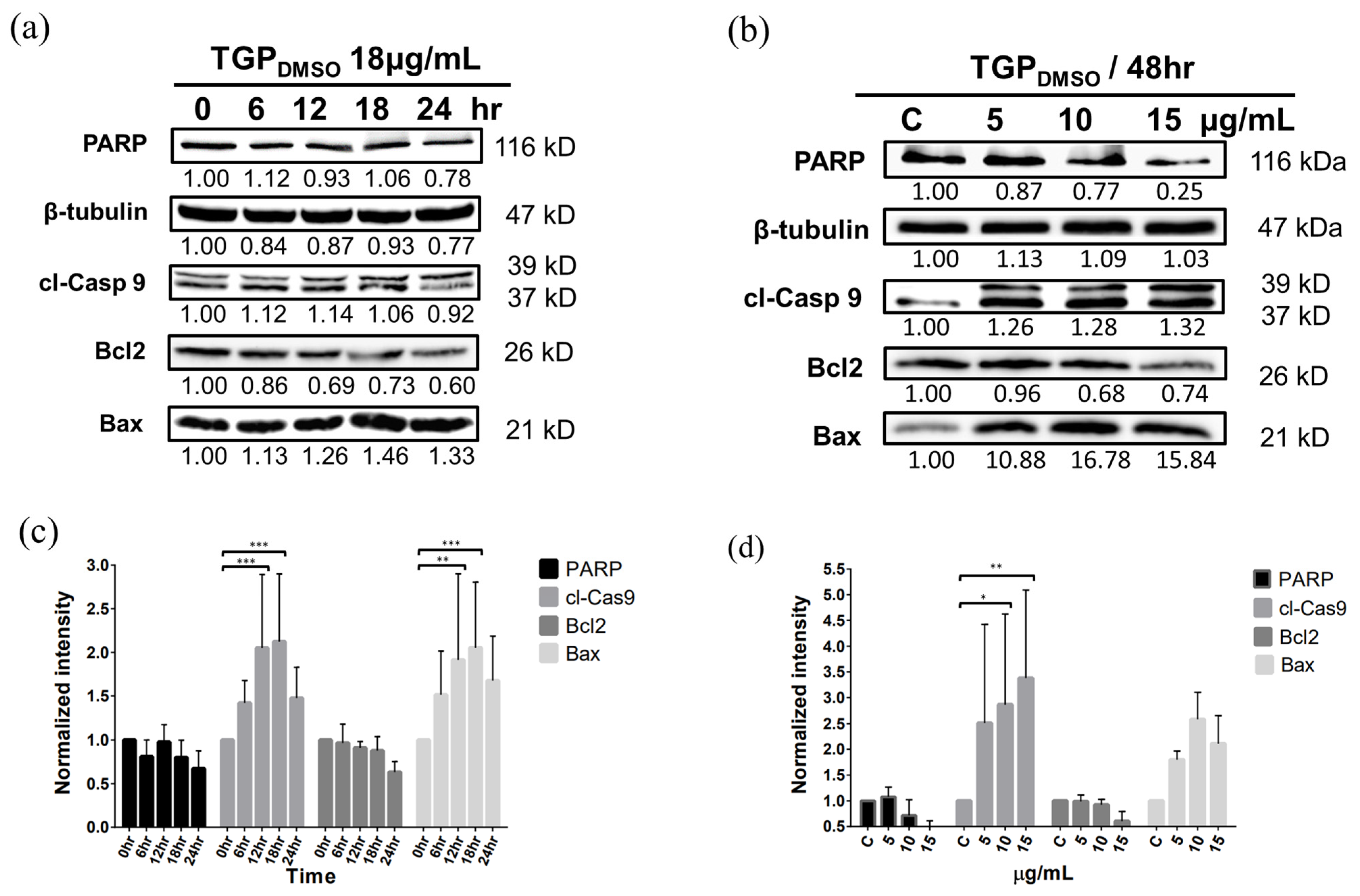 Biomedicines 13 00921 g003