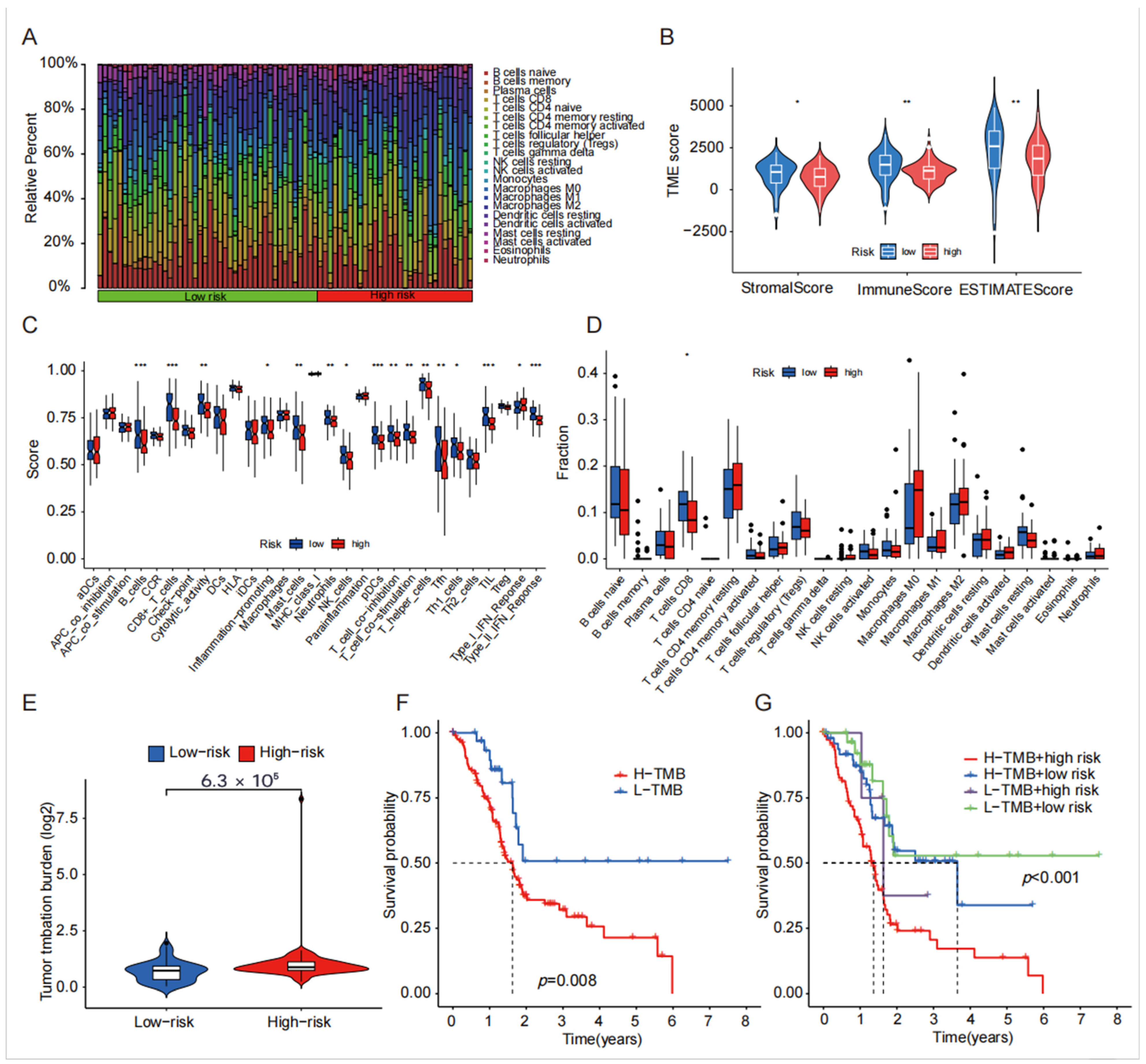 Biomedicines 13 00924 g006