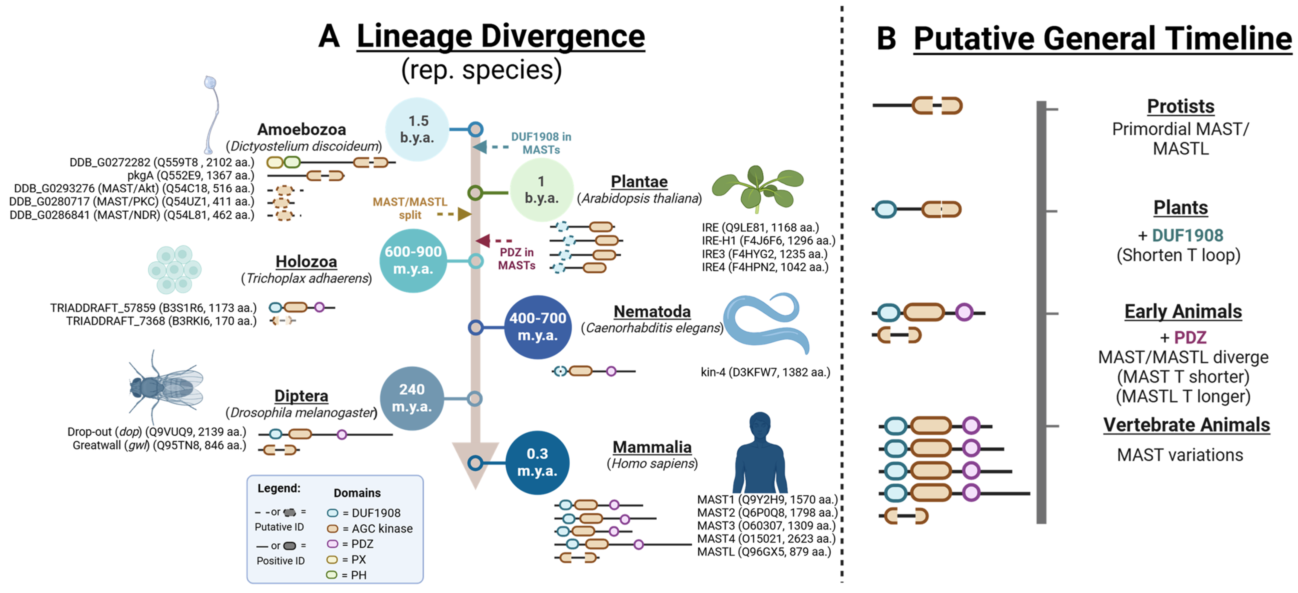Biomedicines 13 00925 g002