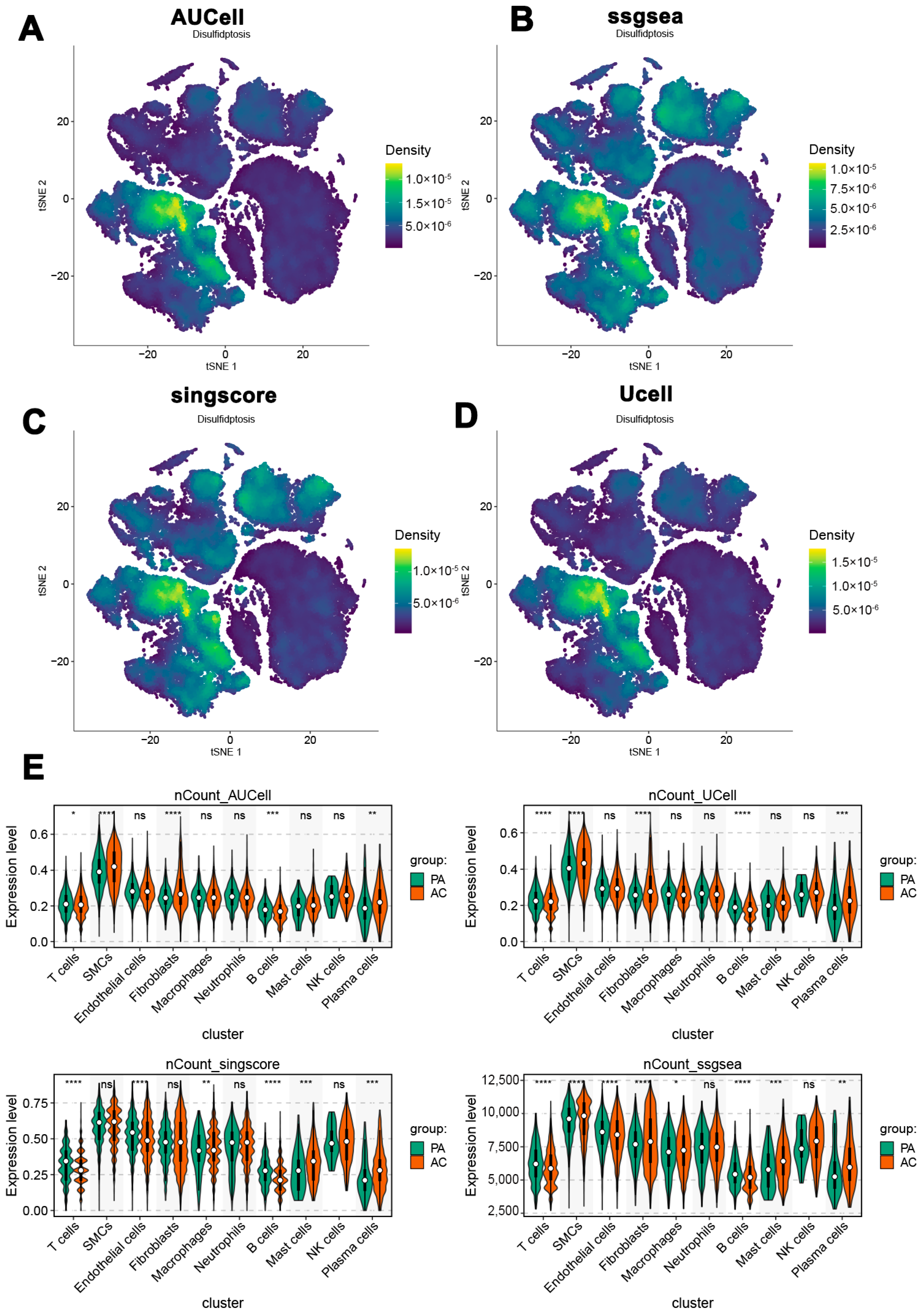 Biomedicines 13 00926 g003