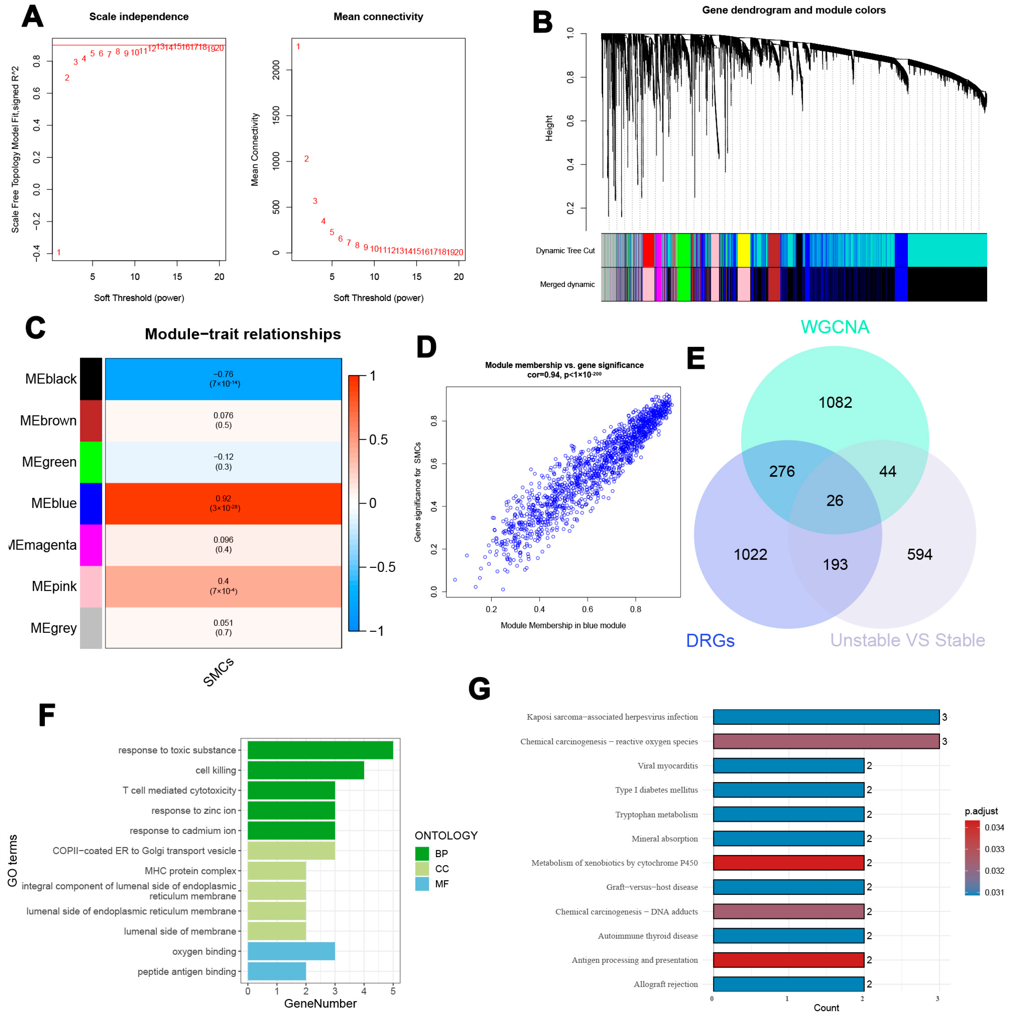 Biomedicines 13 00926 g006