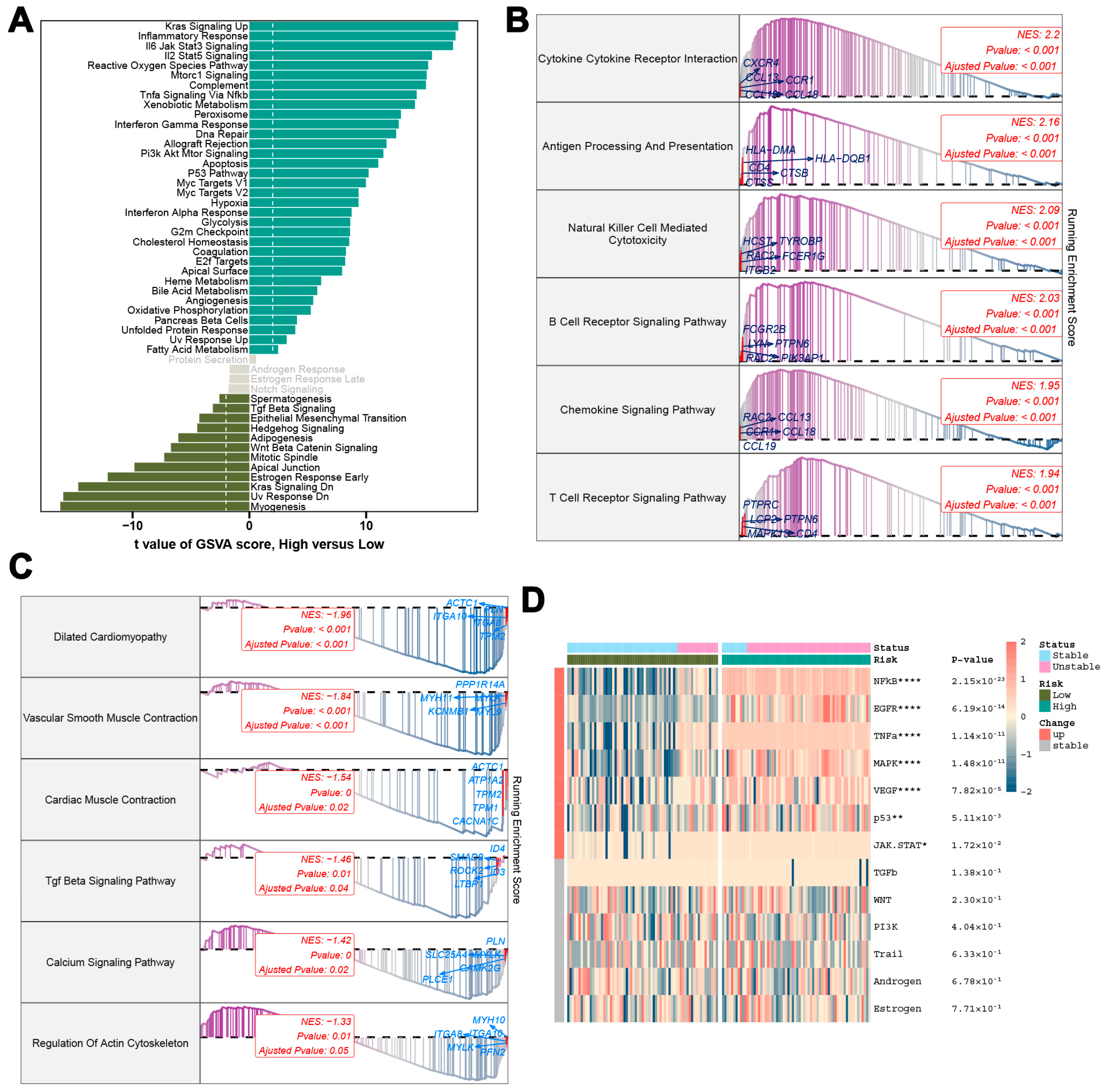 Biomedicines 13 00926 g009