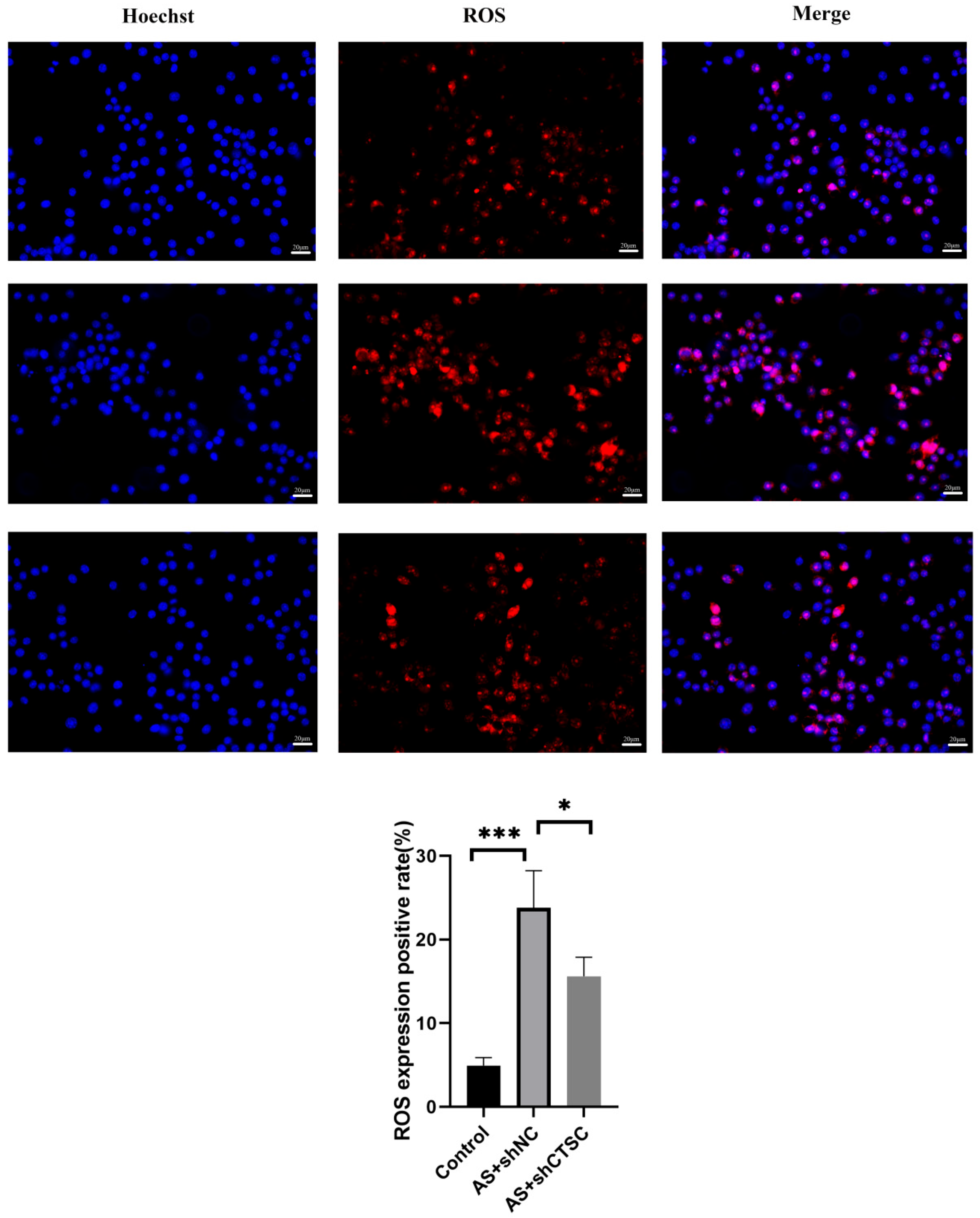 Biomedicines 13 00926 g012