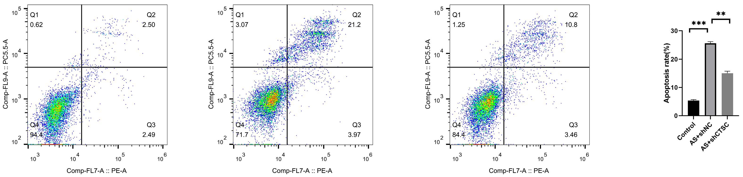 Biomedicines 13 00926 g013