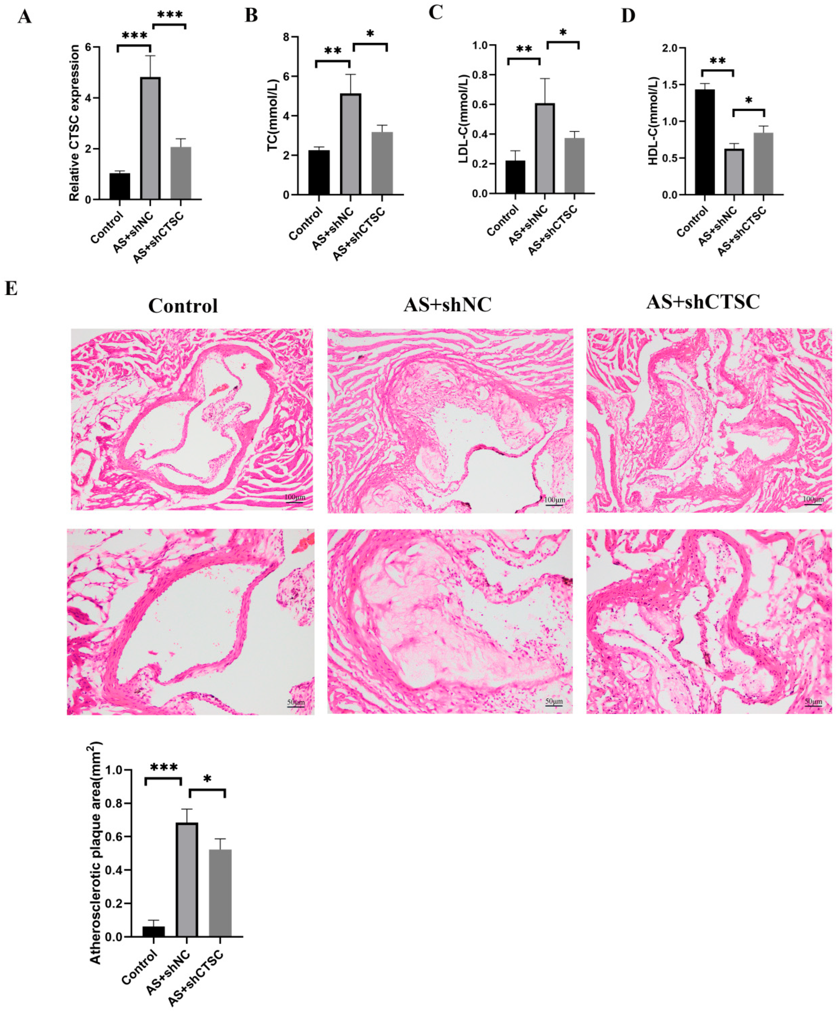 Biomedicines 13 00926 g014