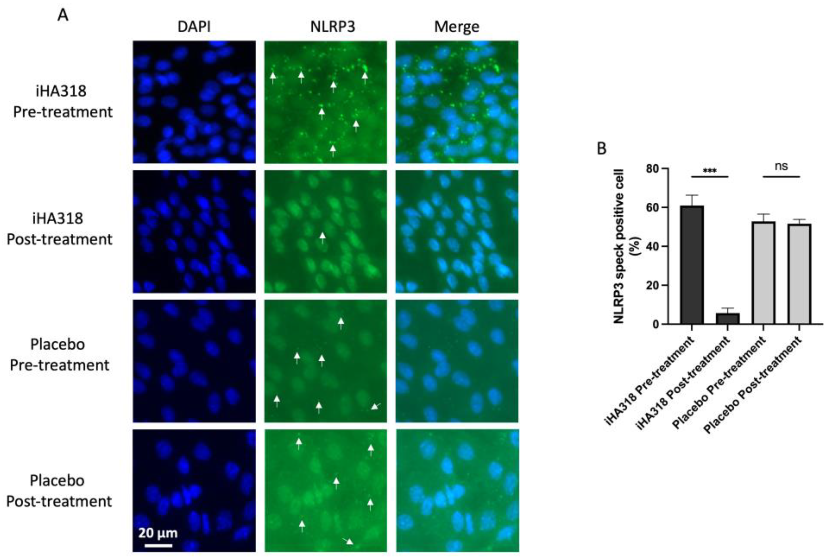 Biomedicines 13 00931 g005