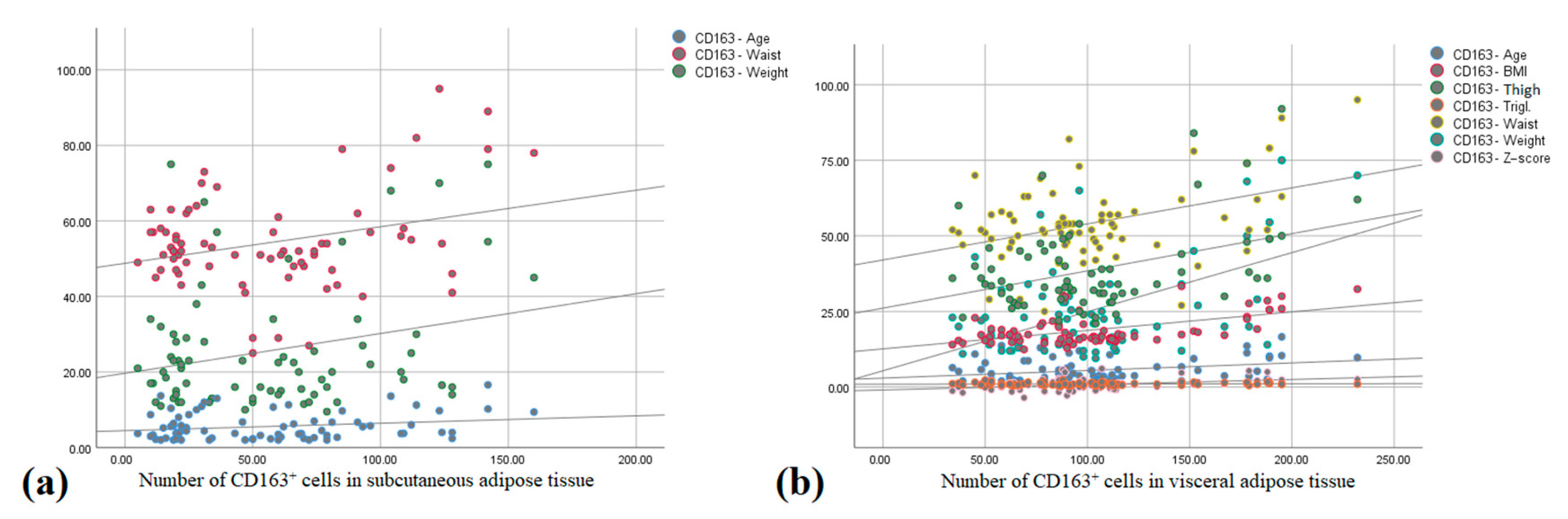 Biomedicines 13 00935 g004