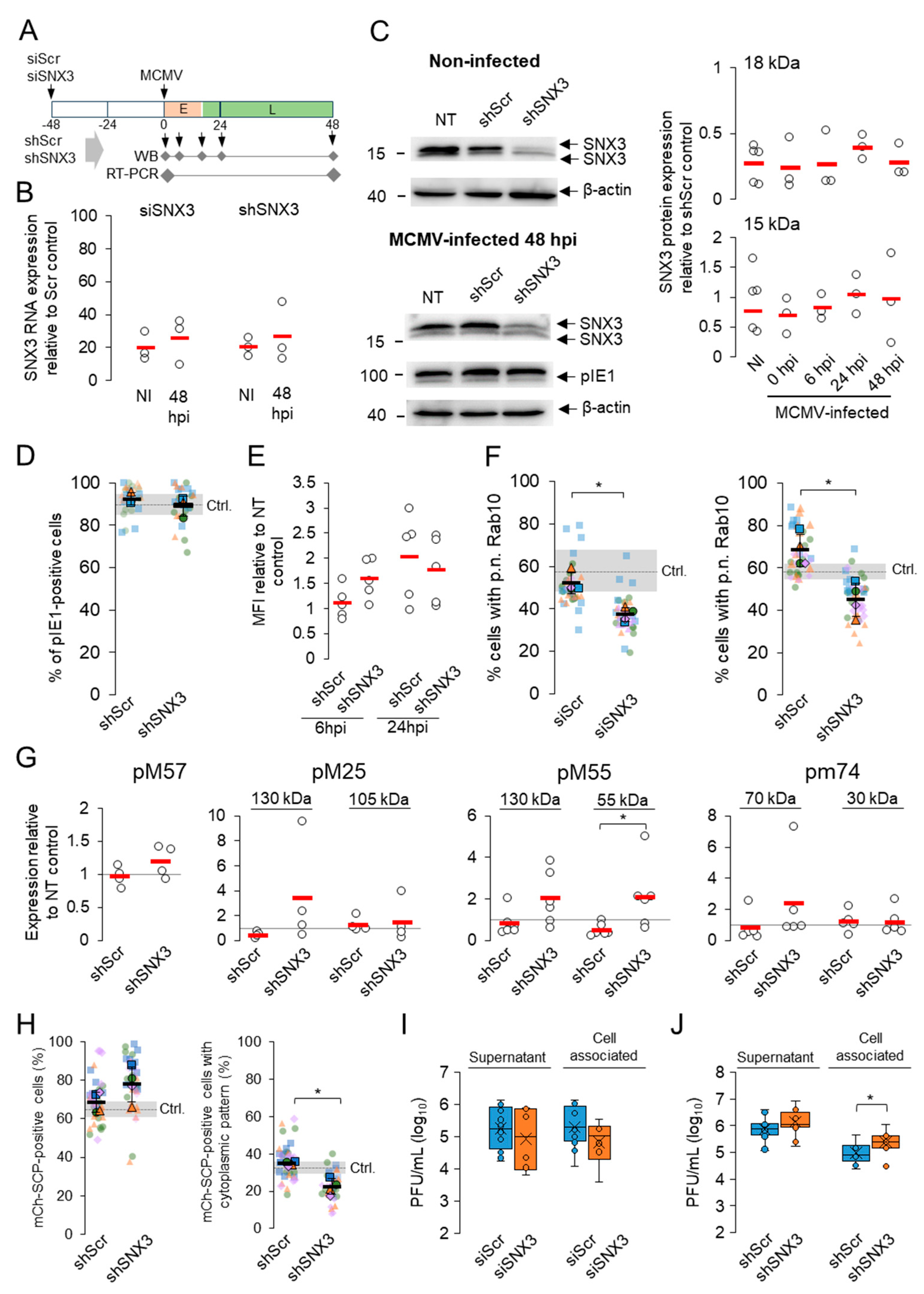 Biomedicines 13 00936 g004