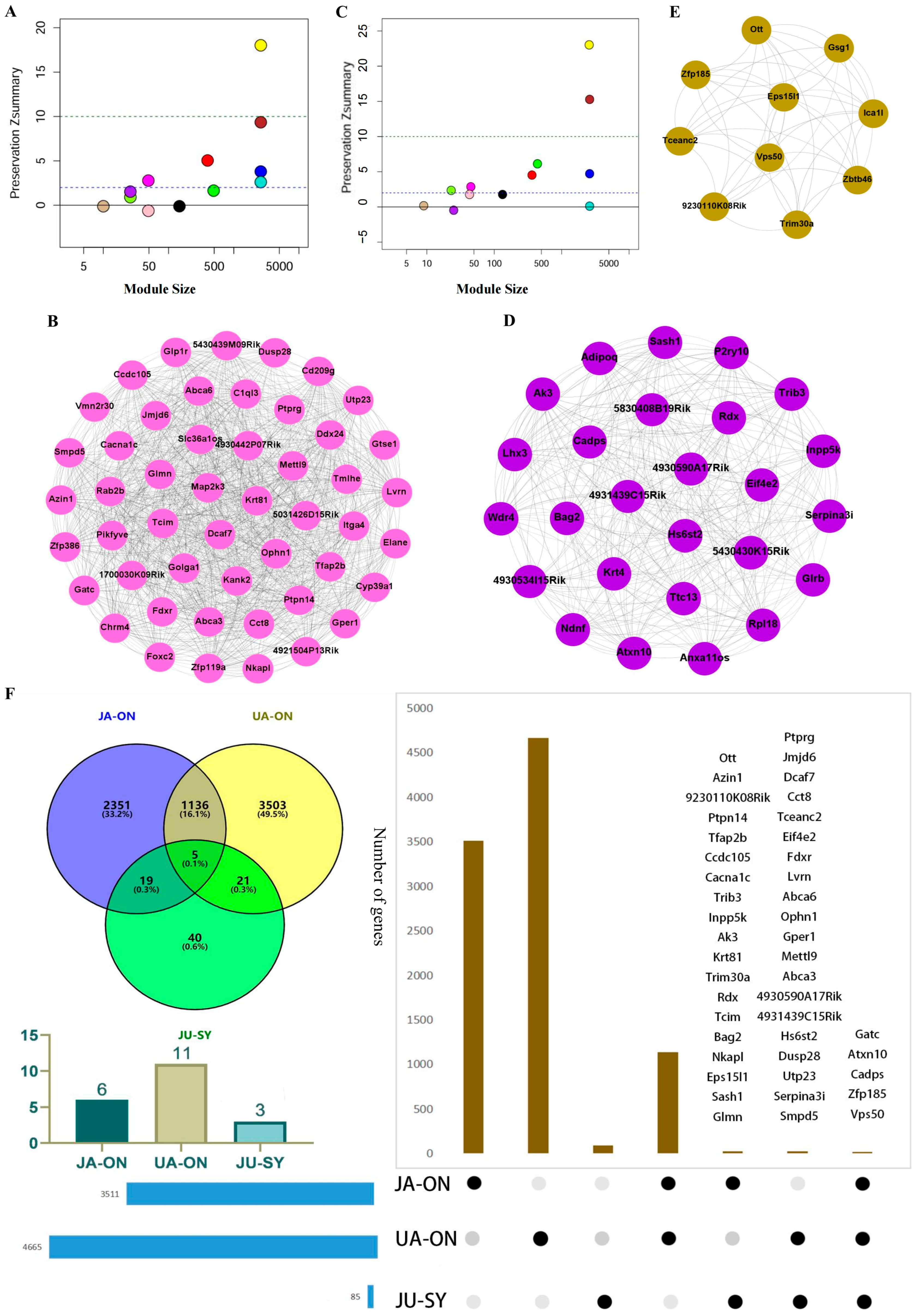 Biomedicines 13 00938 g002