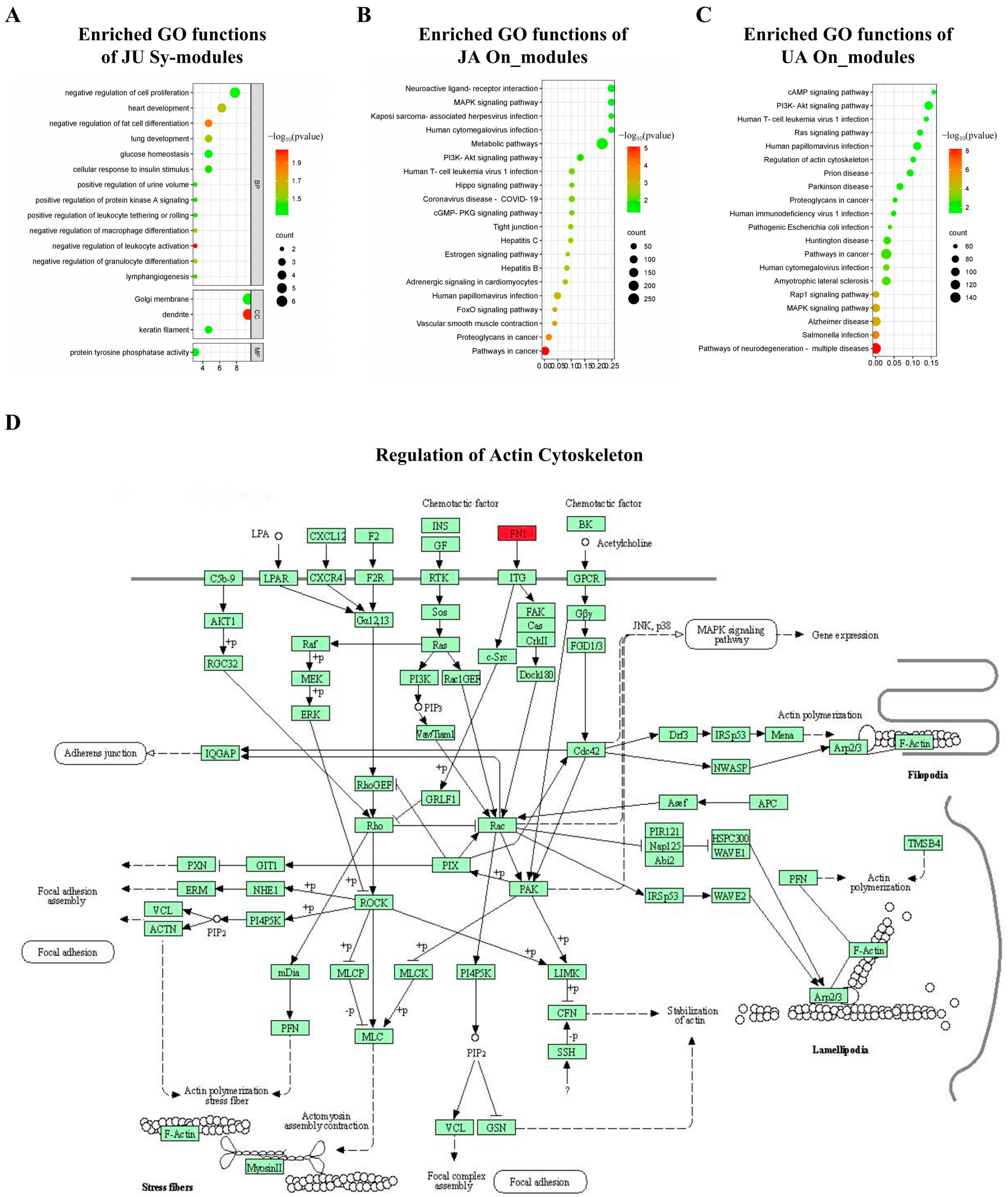 Biomedicines 13 00938 g004