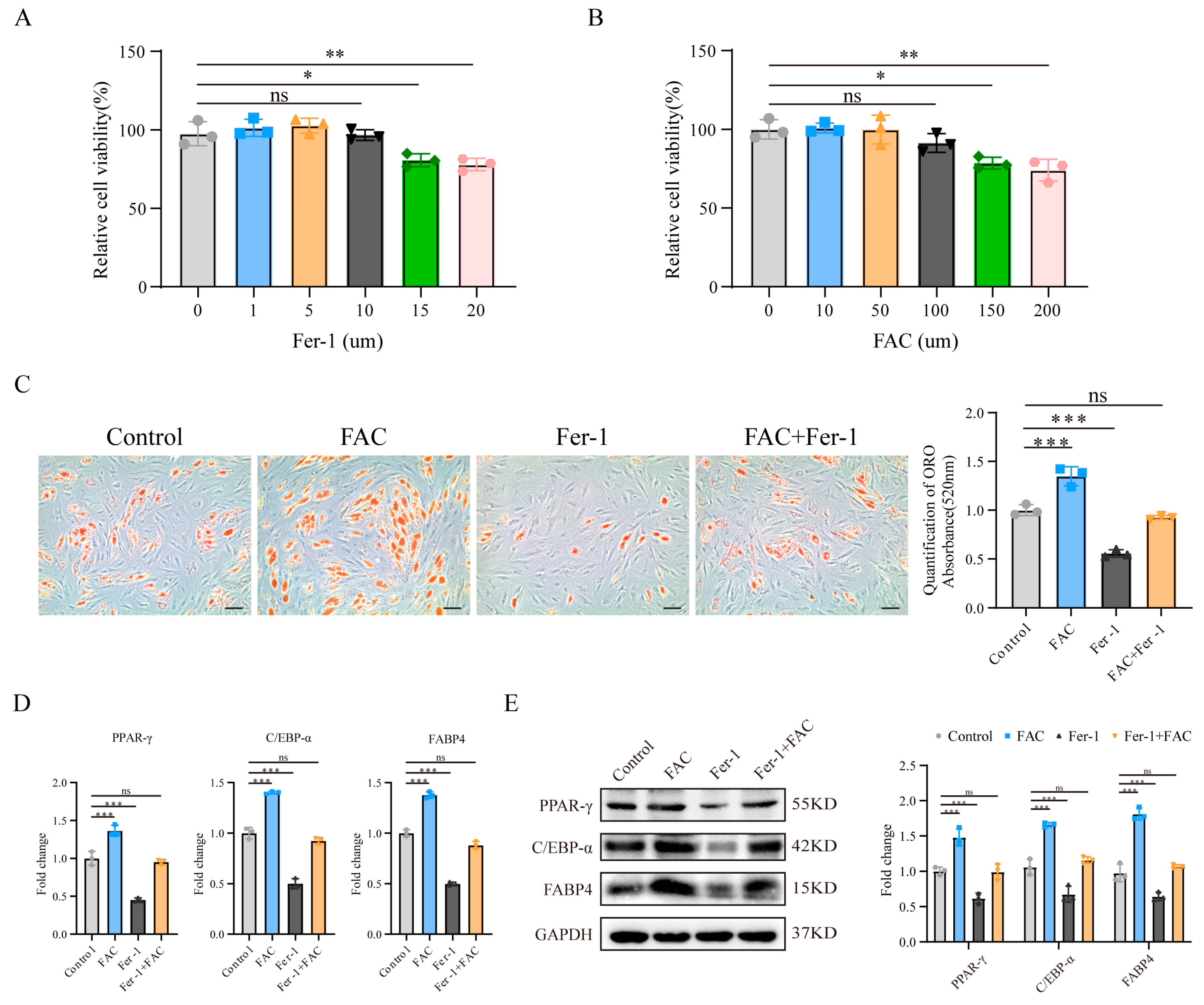 Biomedicines 13 00940 g001
