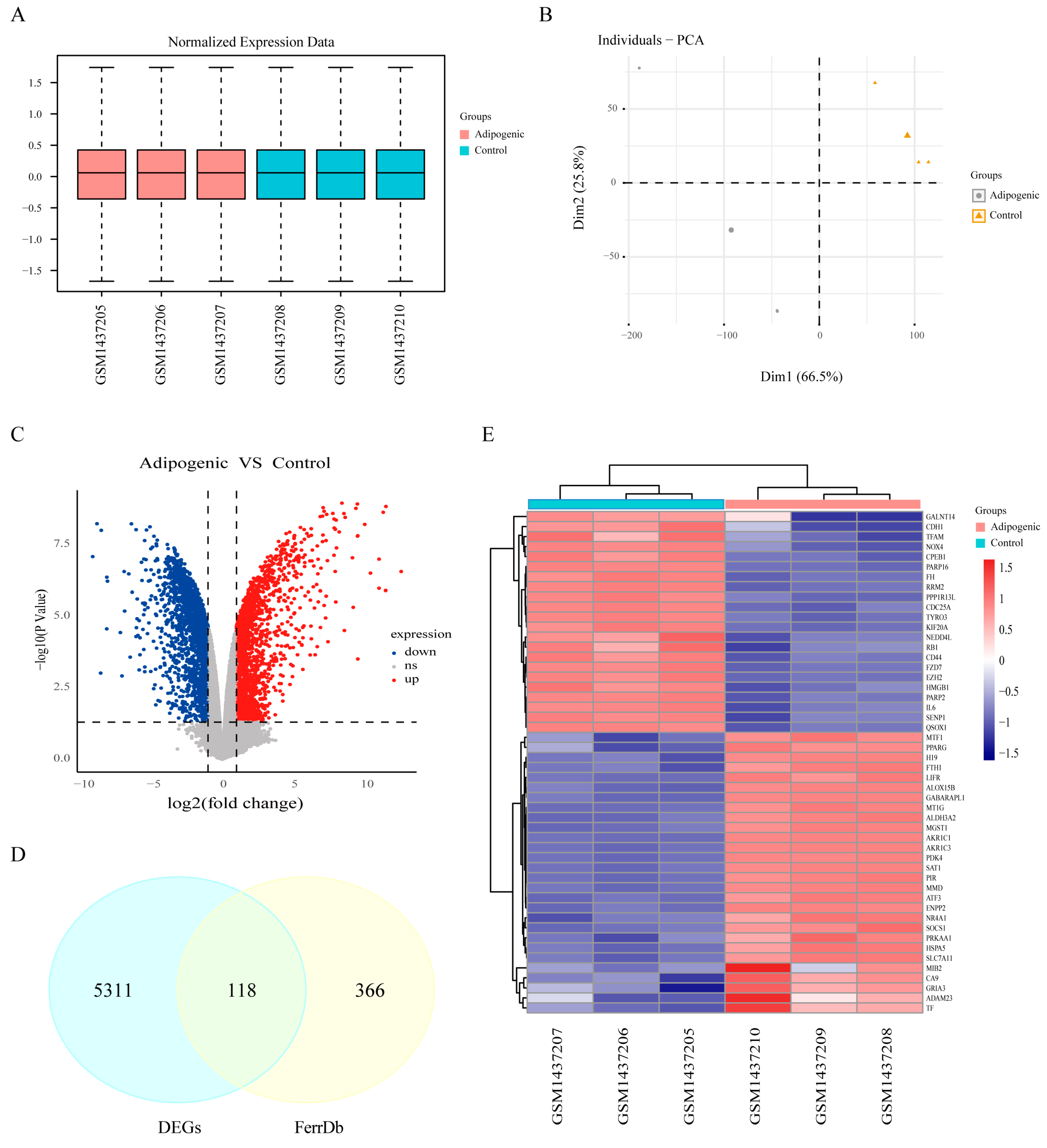 Biomedicines 13 00940 g002