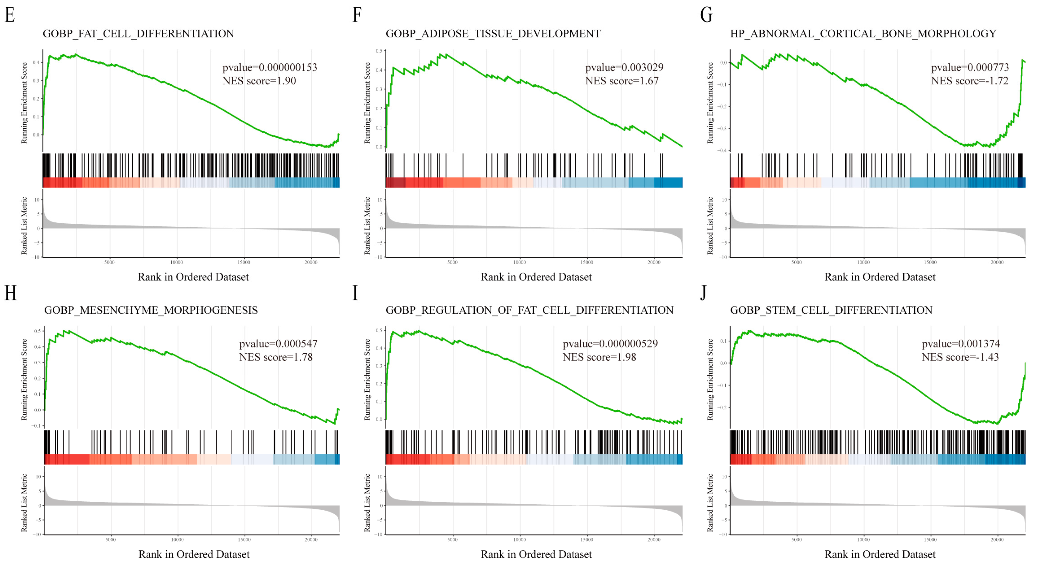 Biomedicines 13 00940 g003b