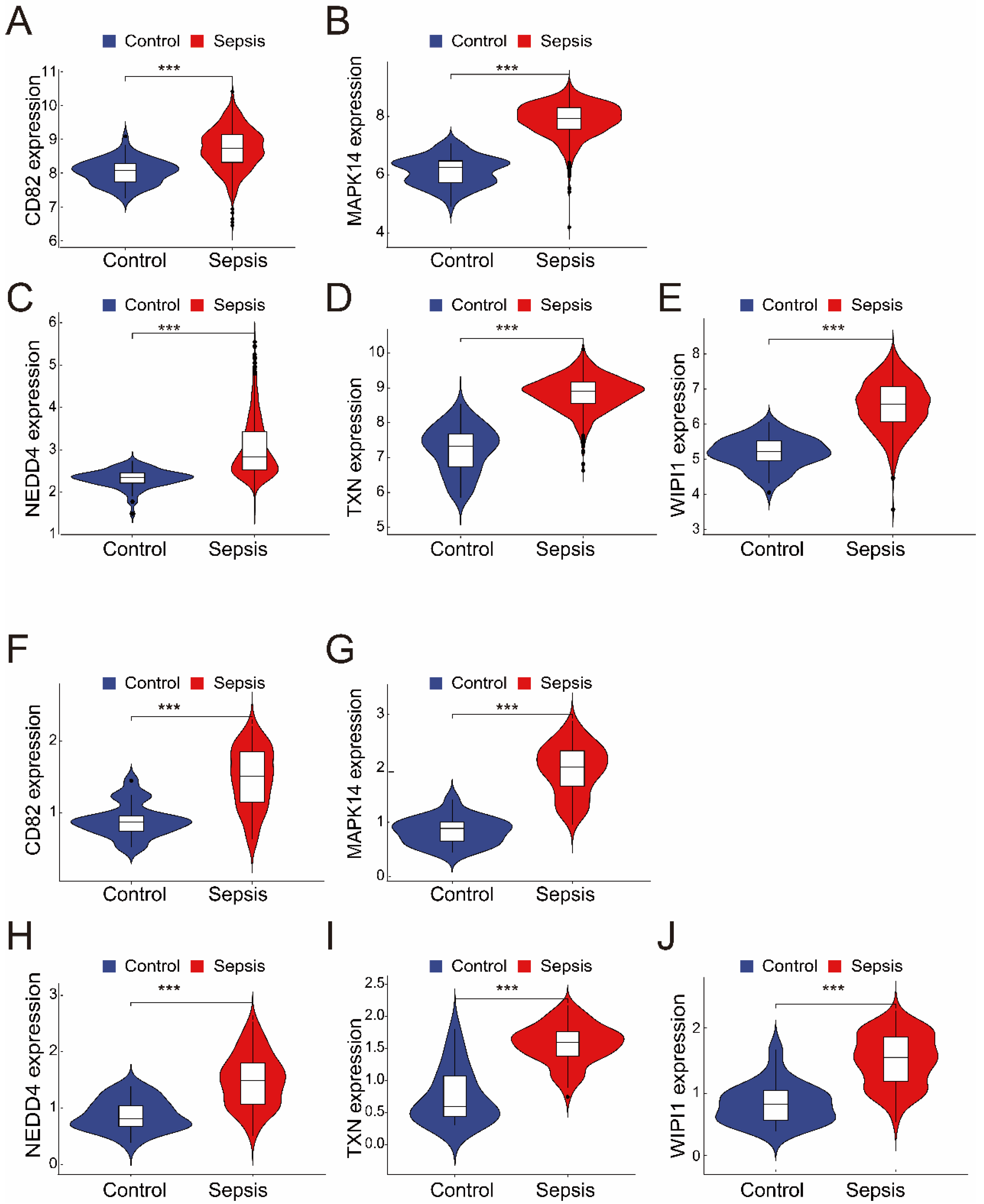 Biomedicines 13 00942 g003