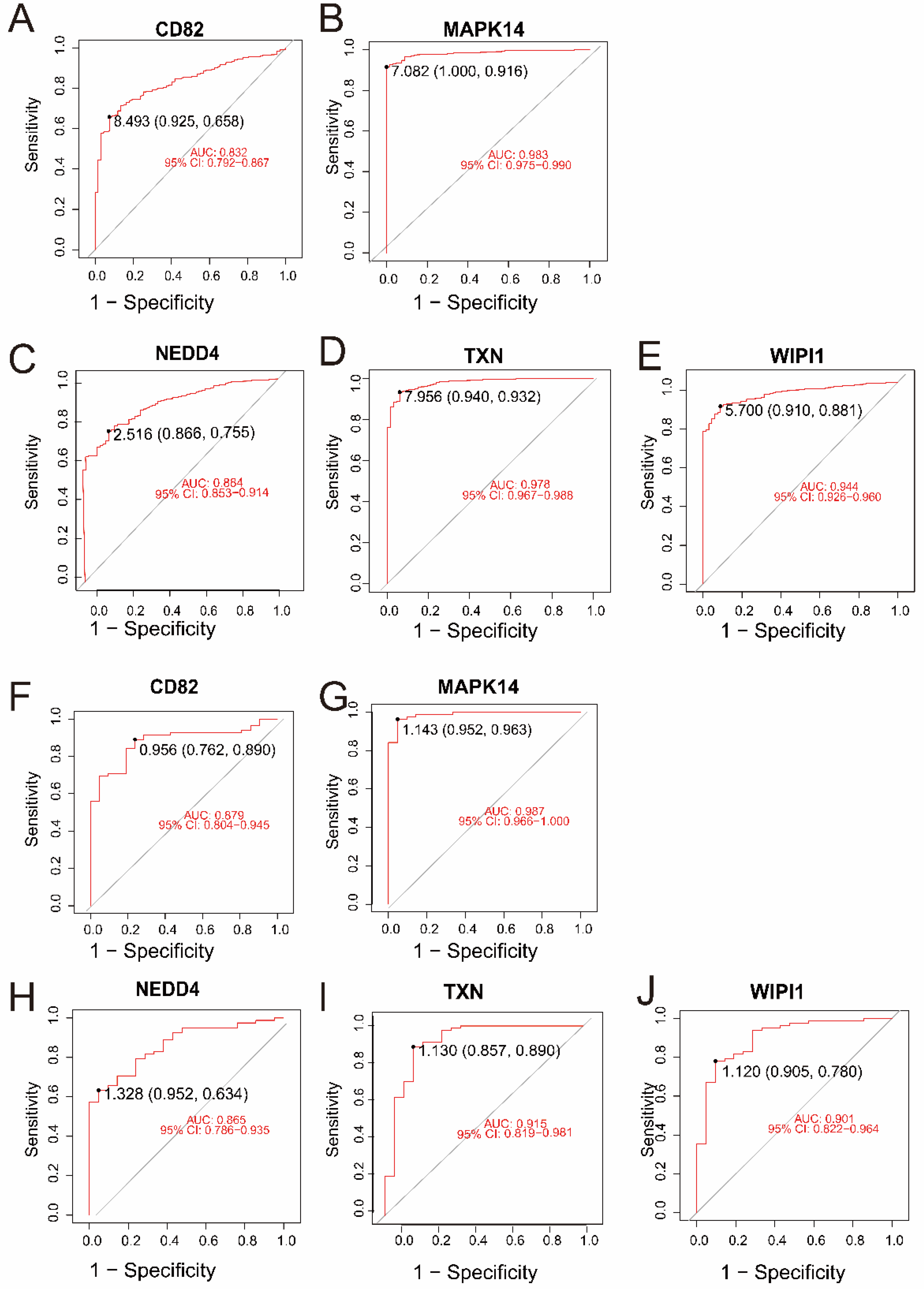 Biomedicines 13 00942 g004