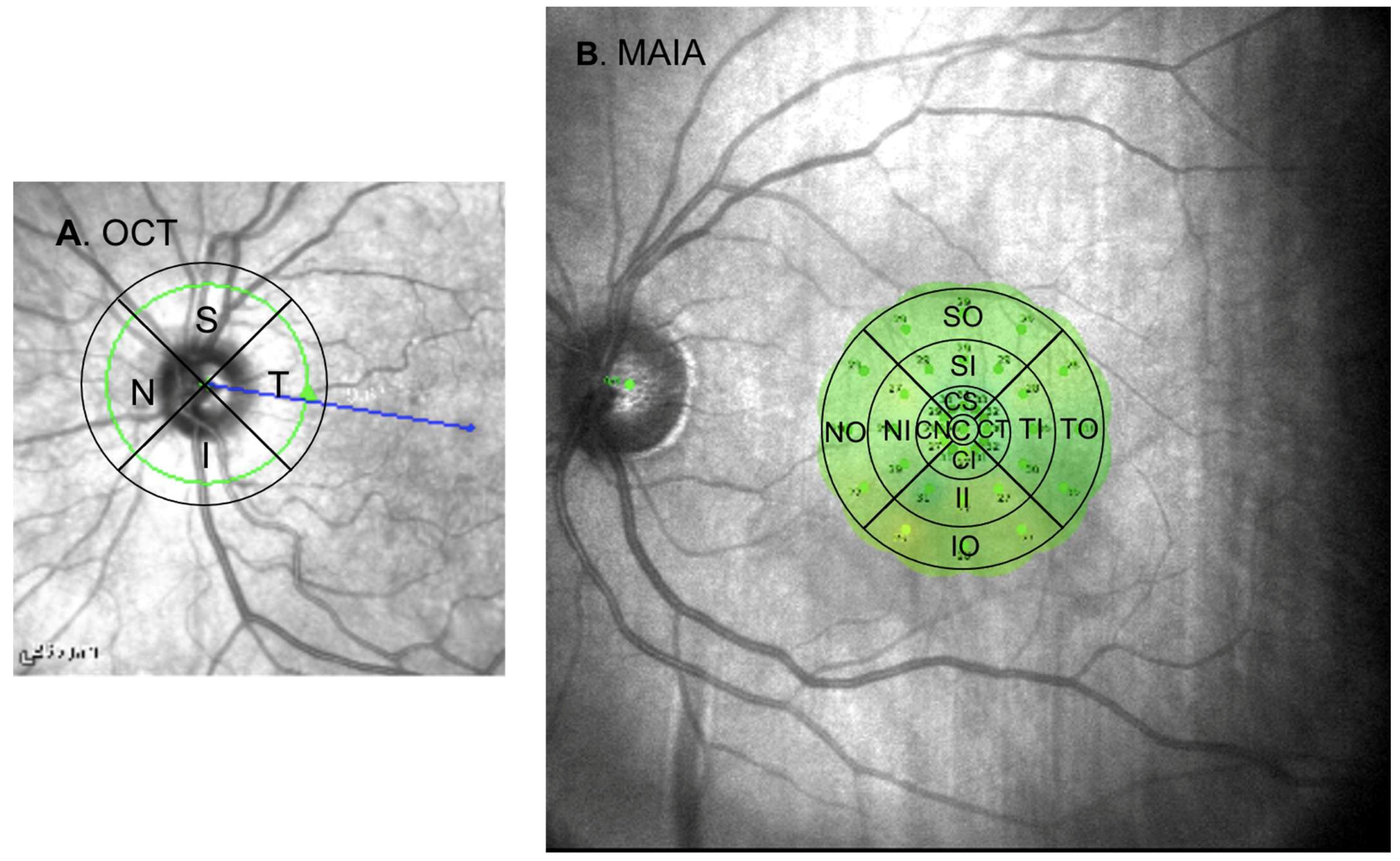 Biomedicines 13 00943 g001