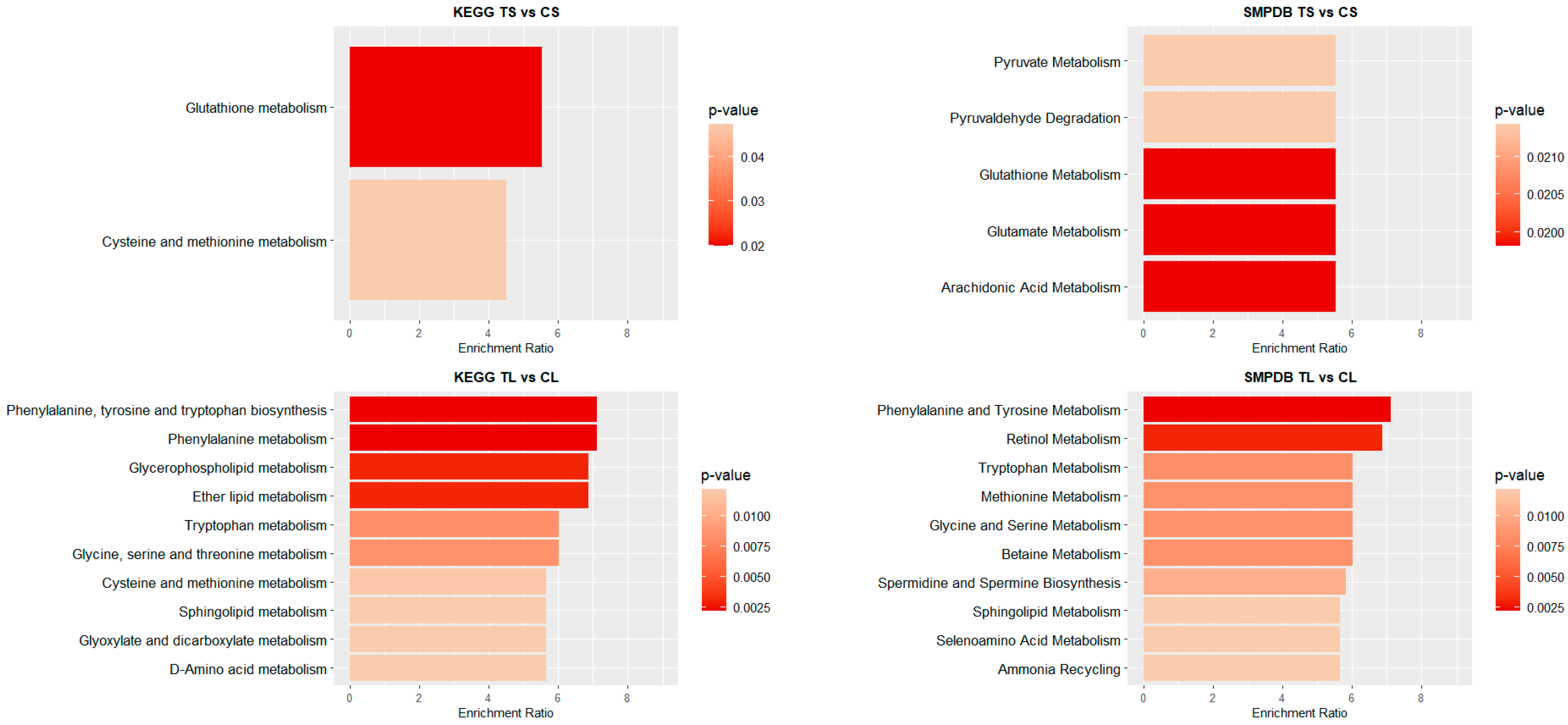 Biomedicines 13 00949 g004