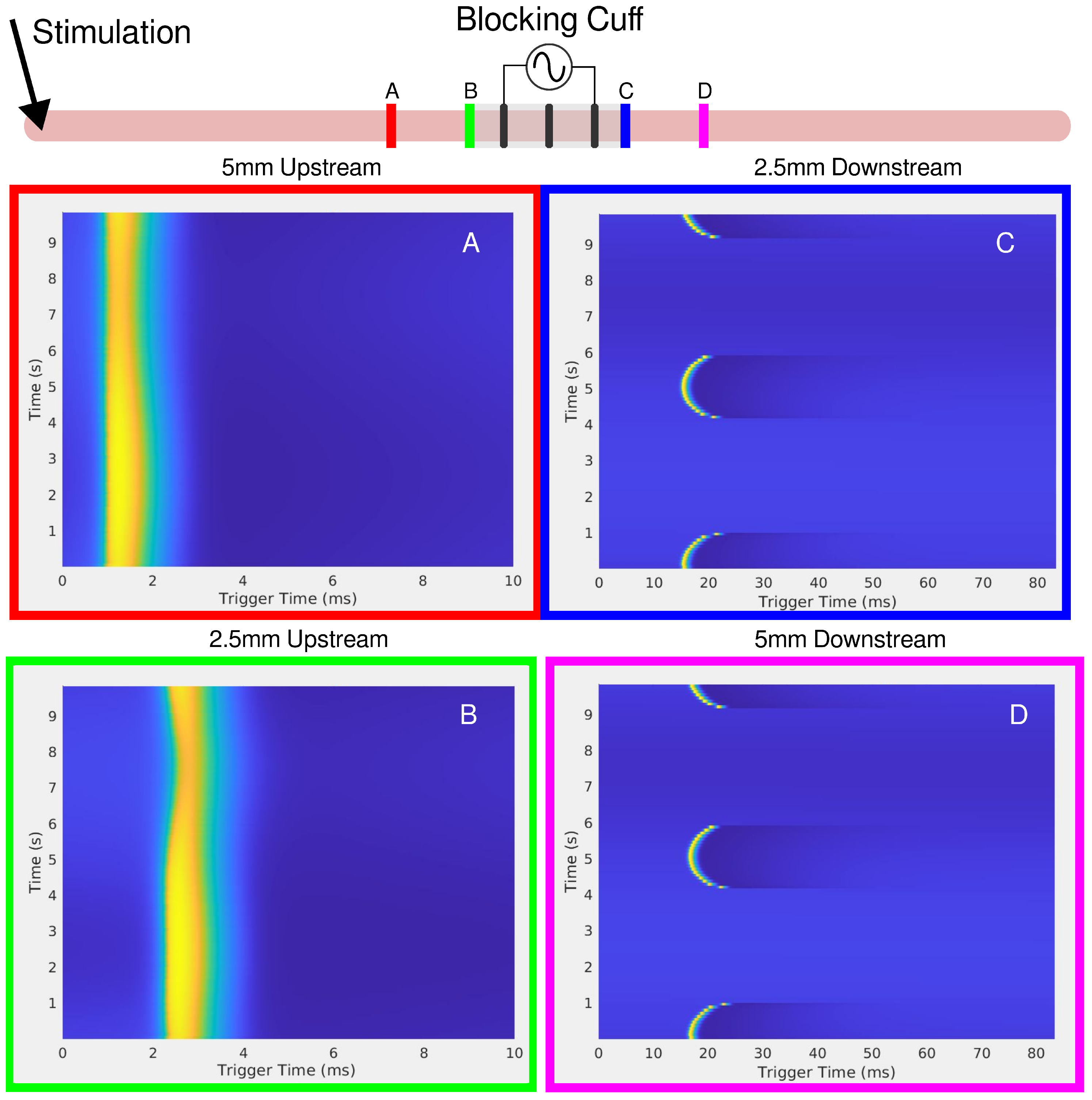 Biomedicines 13 00954 g005