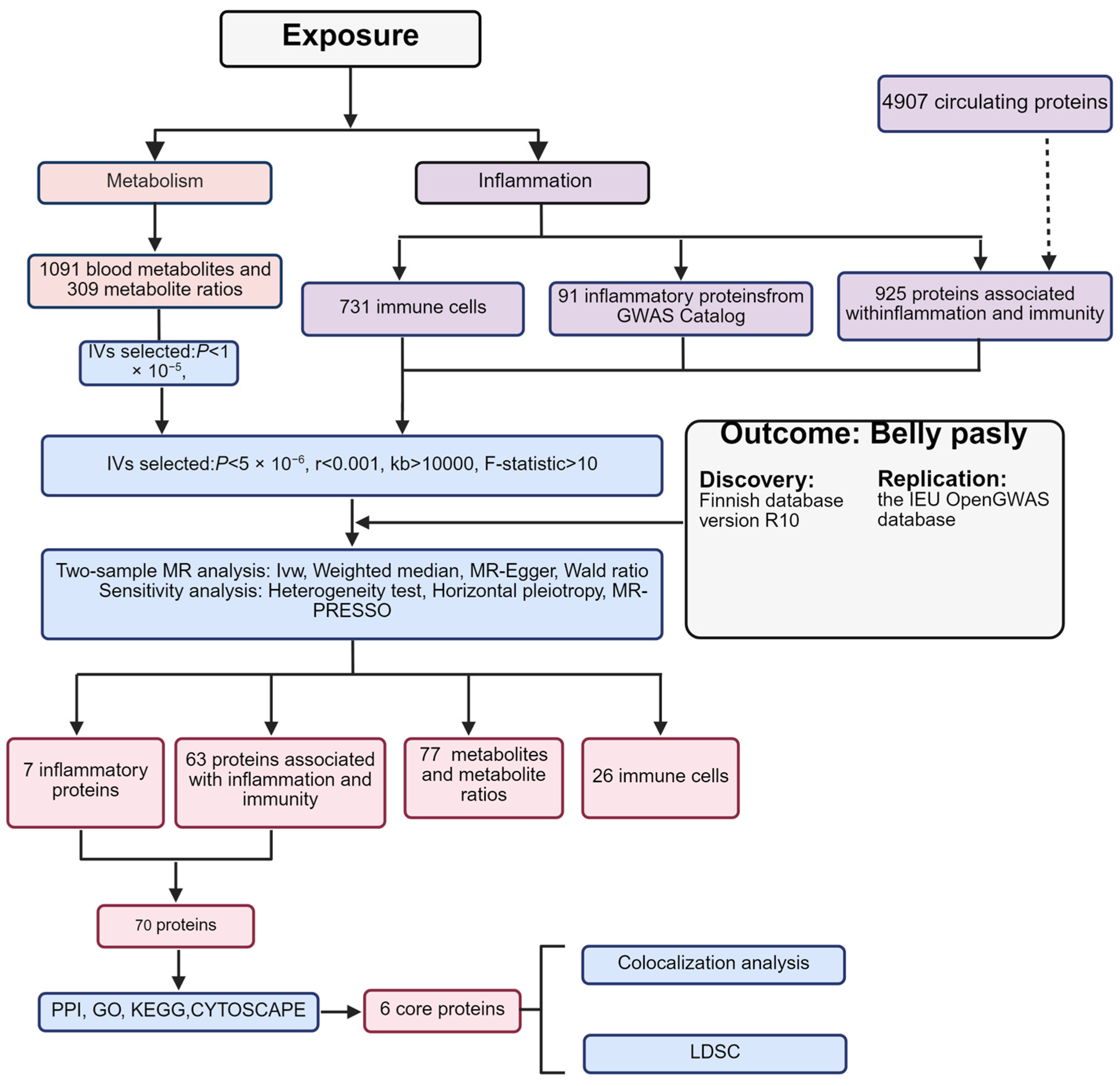 Biomedicines 13 00957 g001
