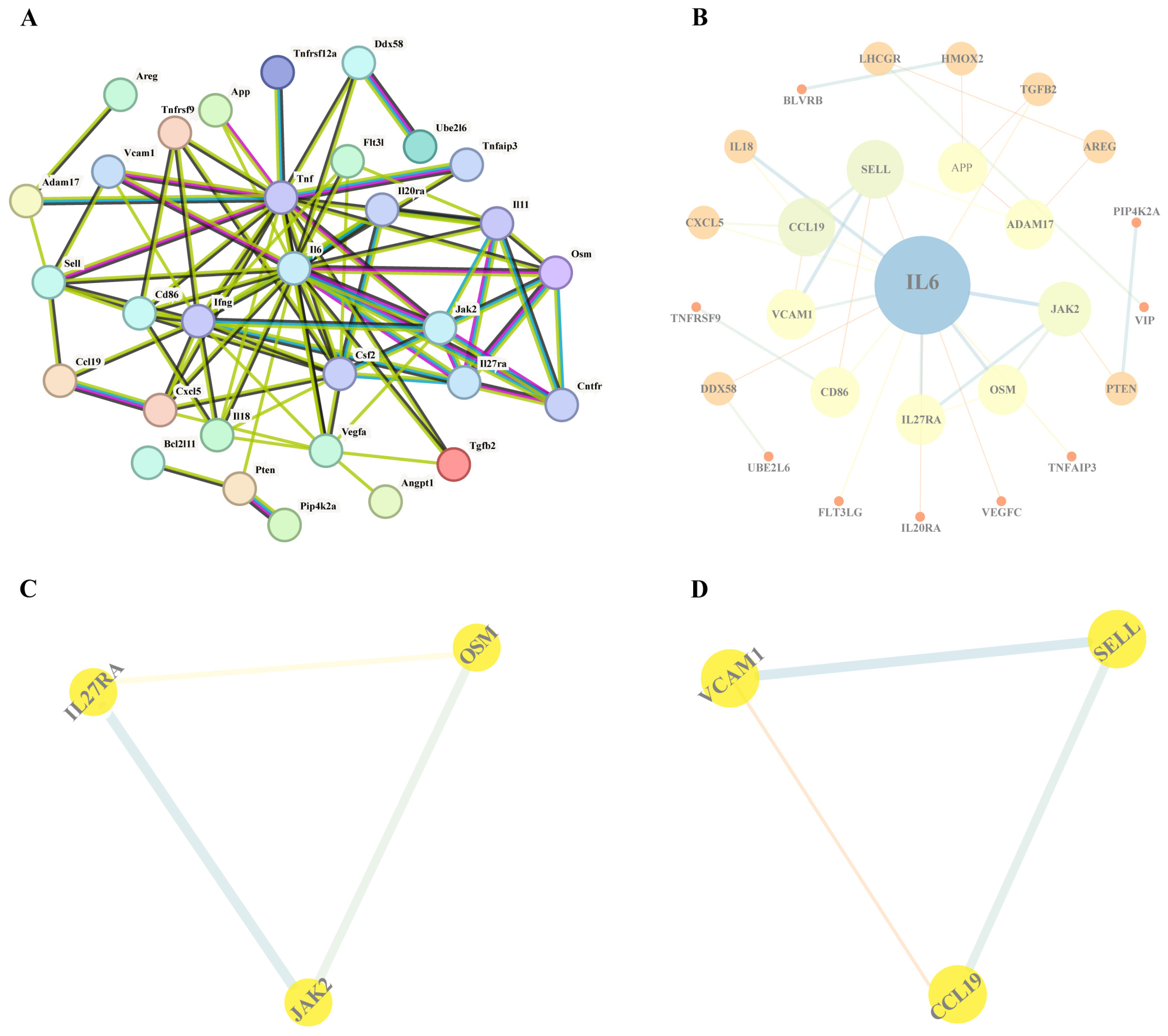 Biomedicines 13 00957 g002