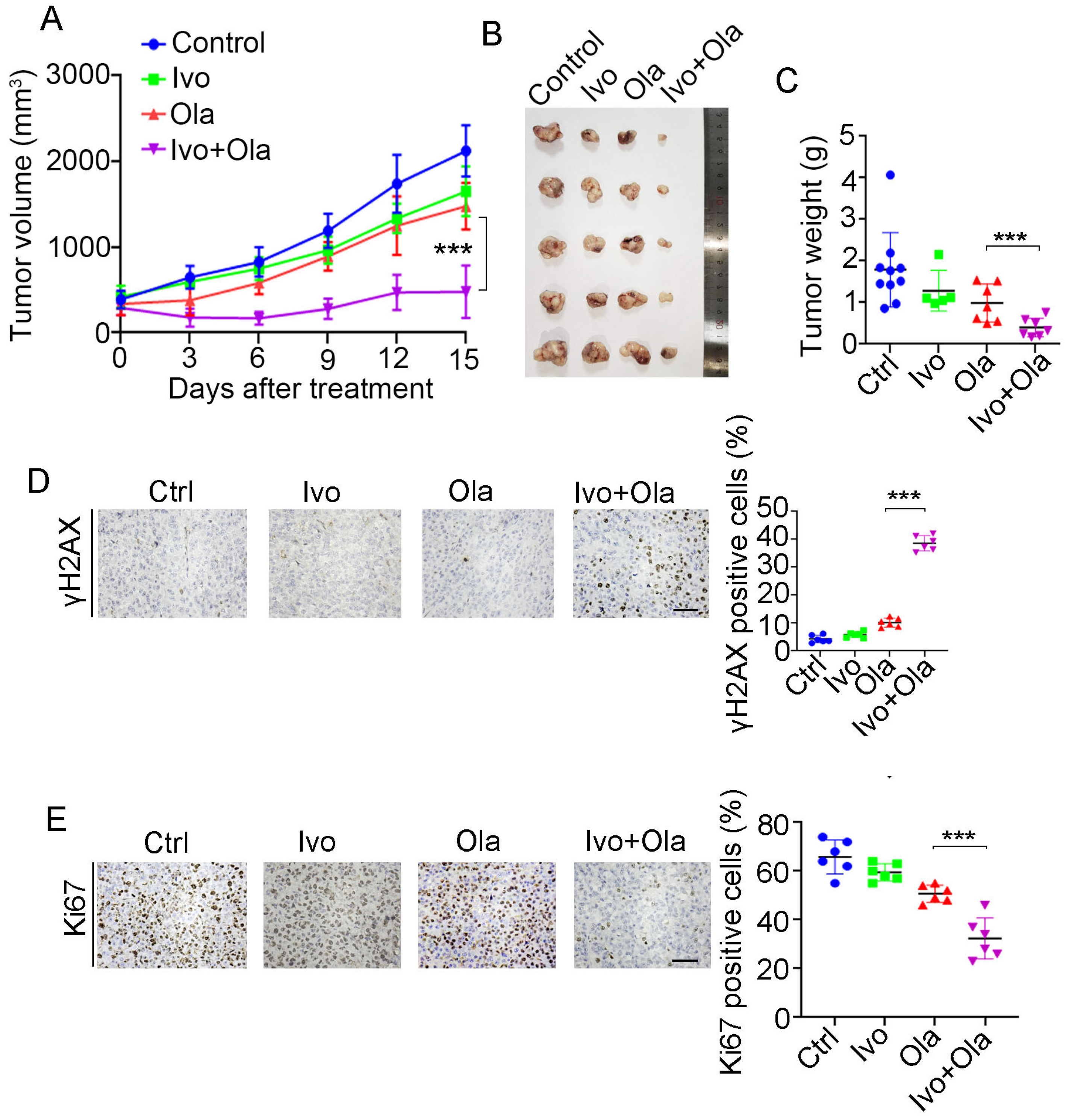 Biomedicines 13 00958 g007