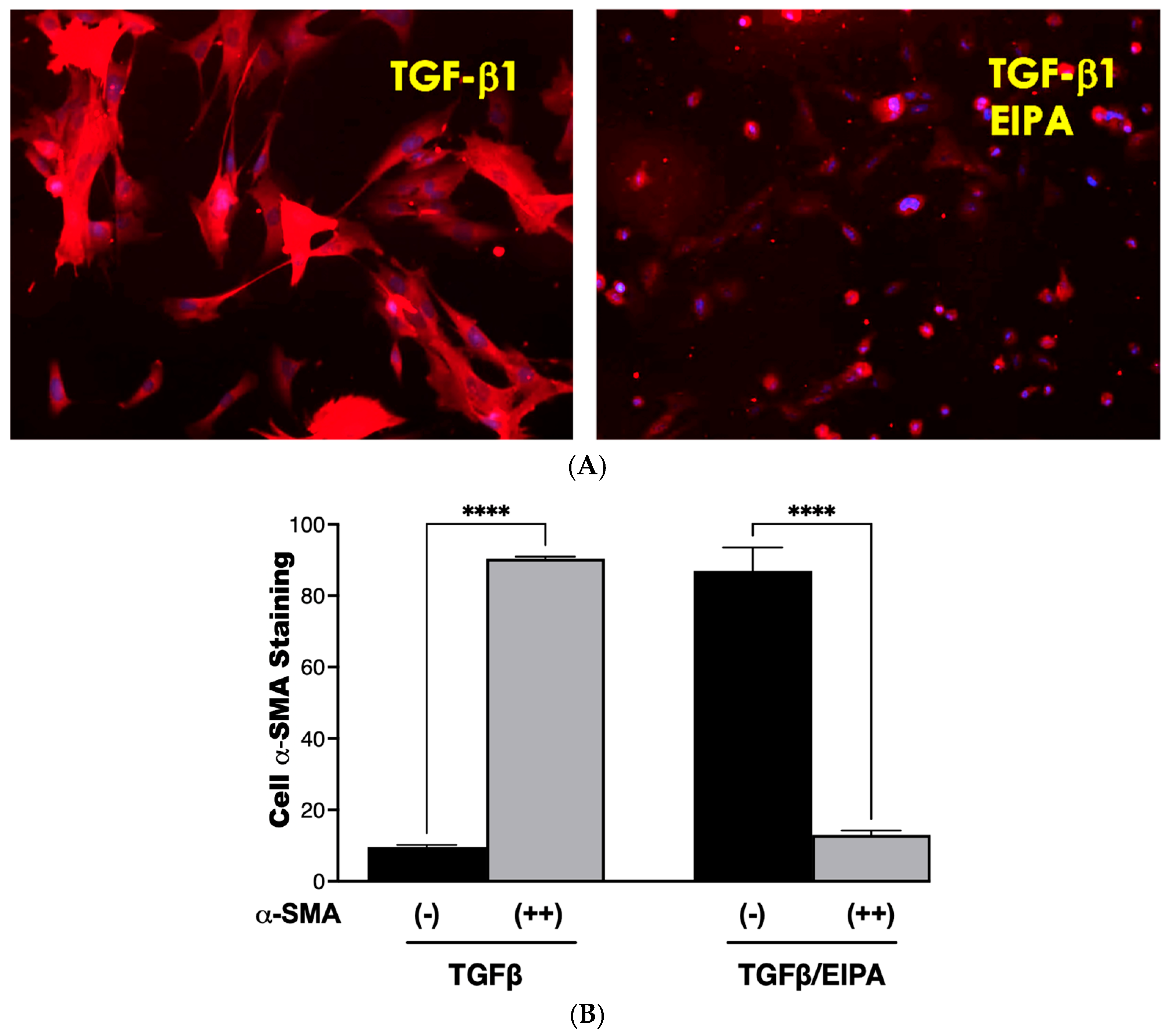 Biomedicines 13 00959 g006