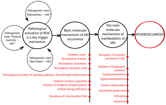 Mitochondrial Dysfunction and Atherosclerosis: The Problem Mitochondrial Dysfunction and Atherosclerosis: The Problem