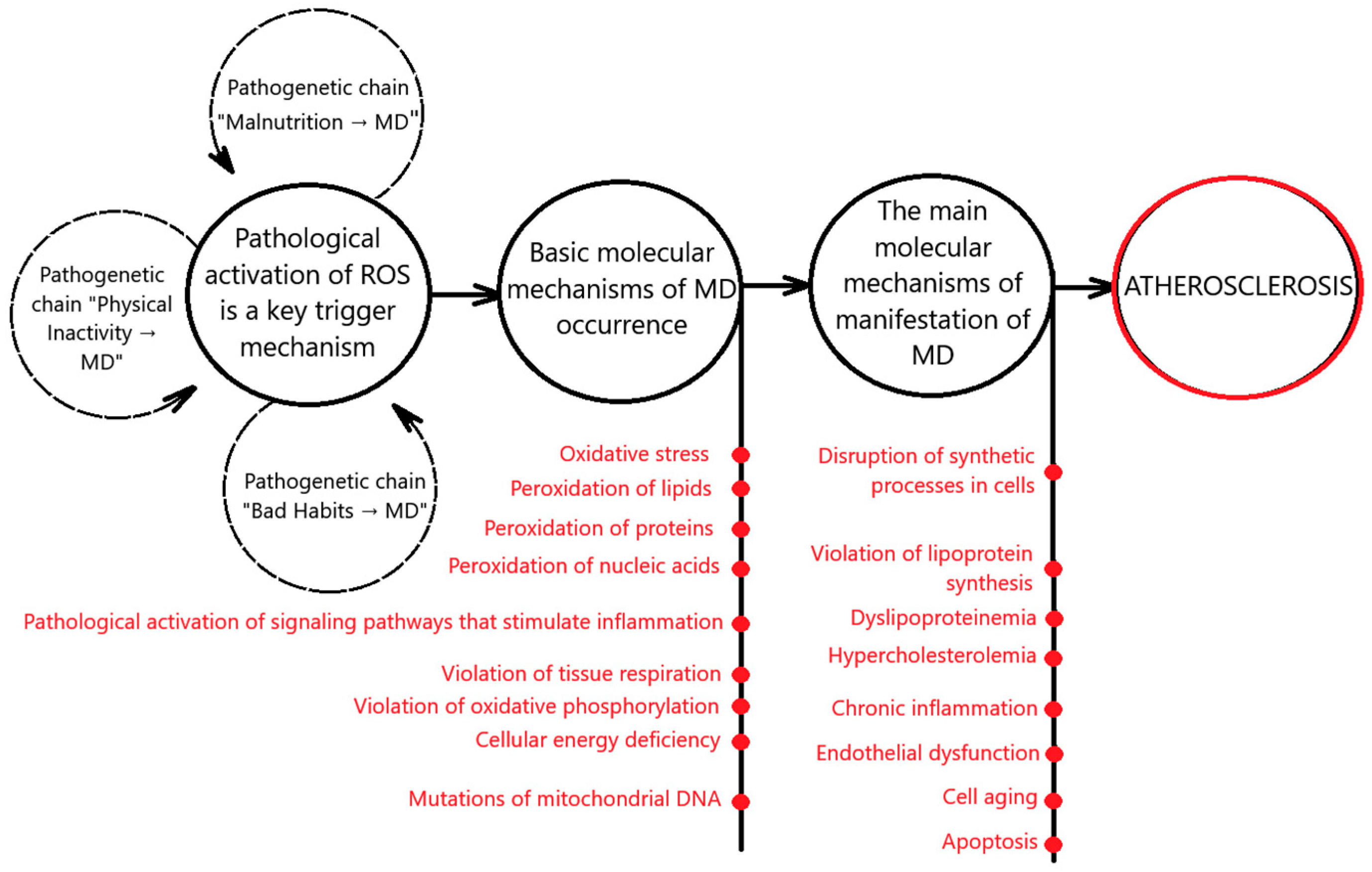 Mitochondrial Dysfunction and Atherosclerosis: The Problem