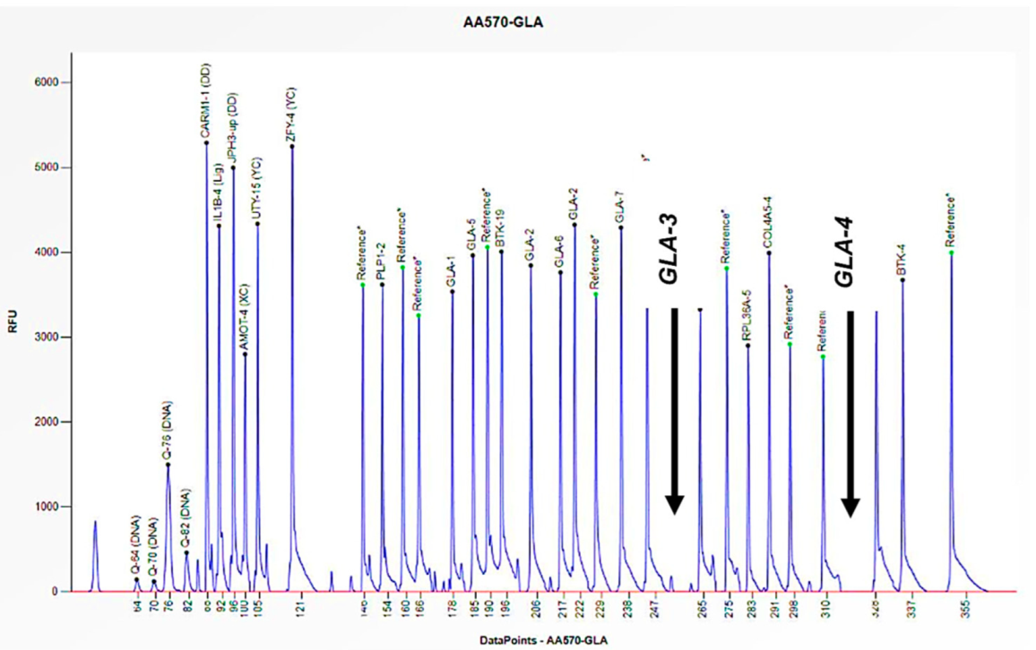 Biomedicines 13 00973 g003