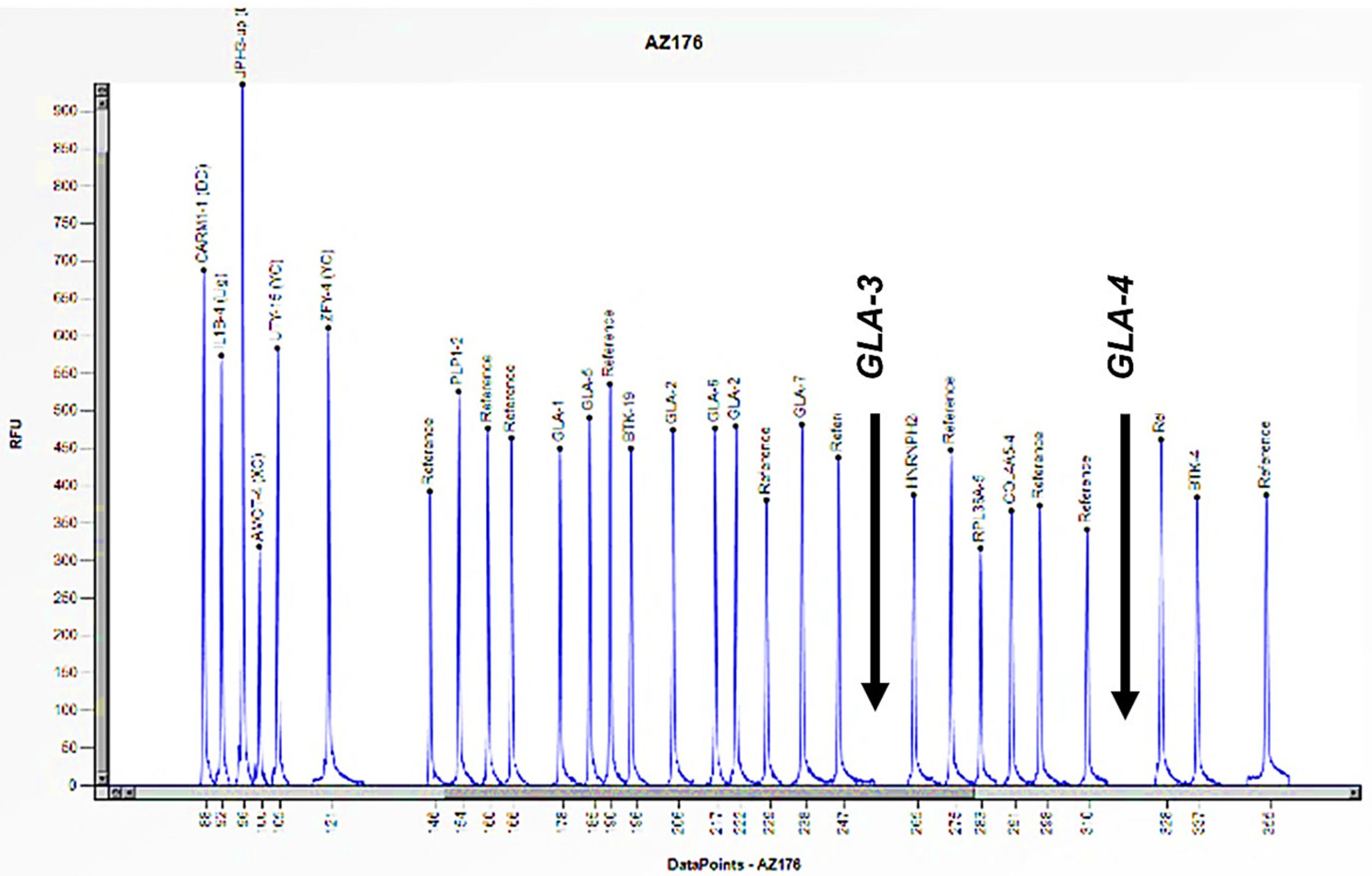 Biomedicines 13 00973 g004