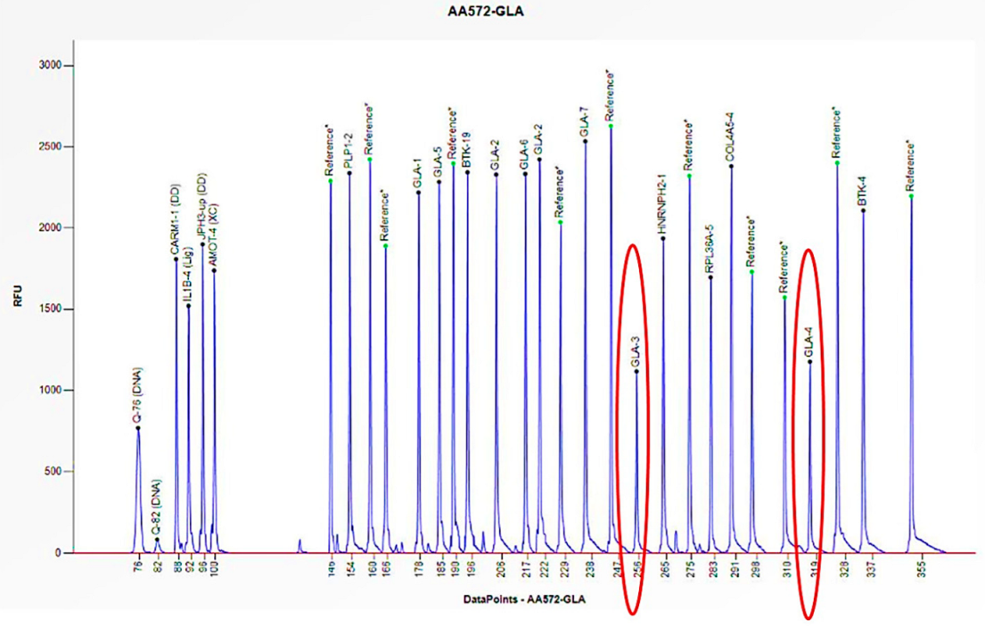 Biomedicines 13 00973 g005