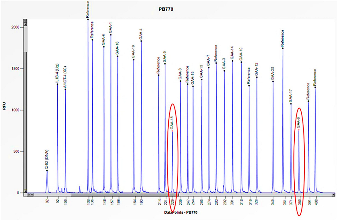 Biomedicines 13 00973 g007