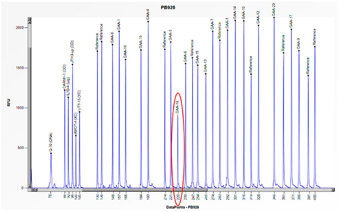 Biomedicines 13 00973 g008