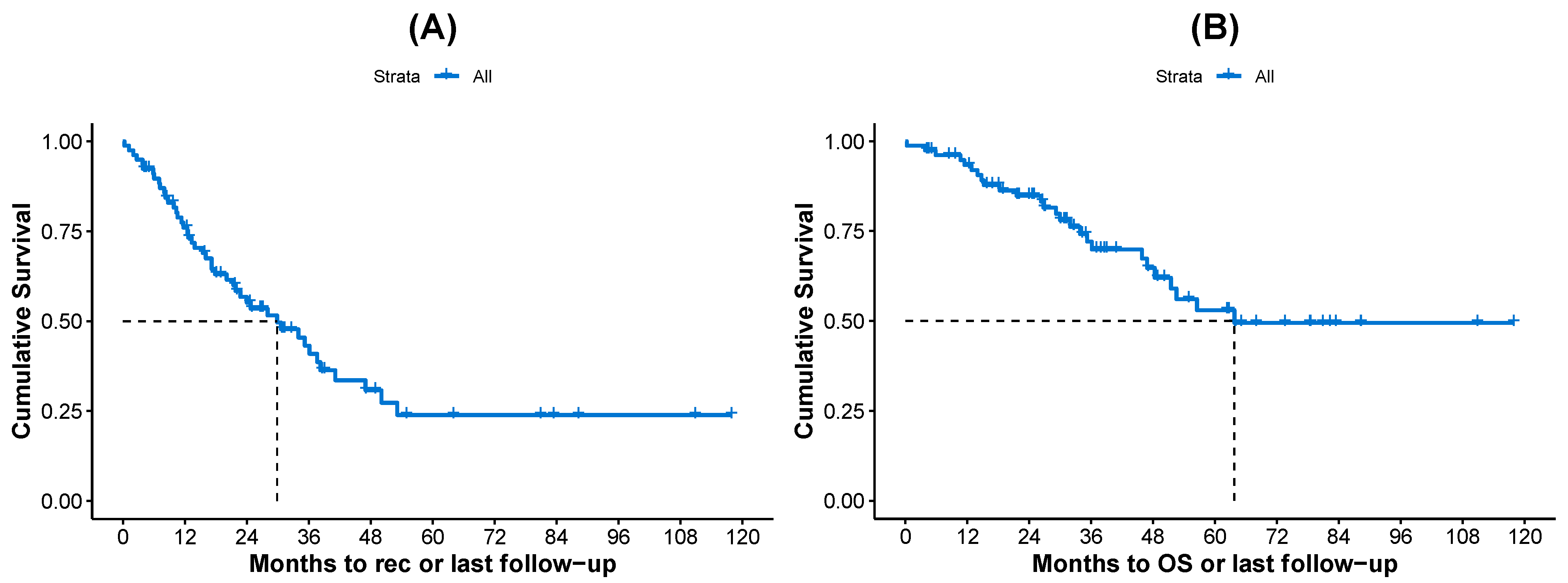 Biomedicines 13 00975 g001