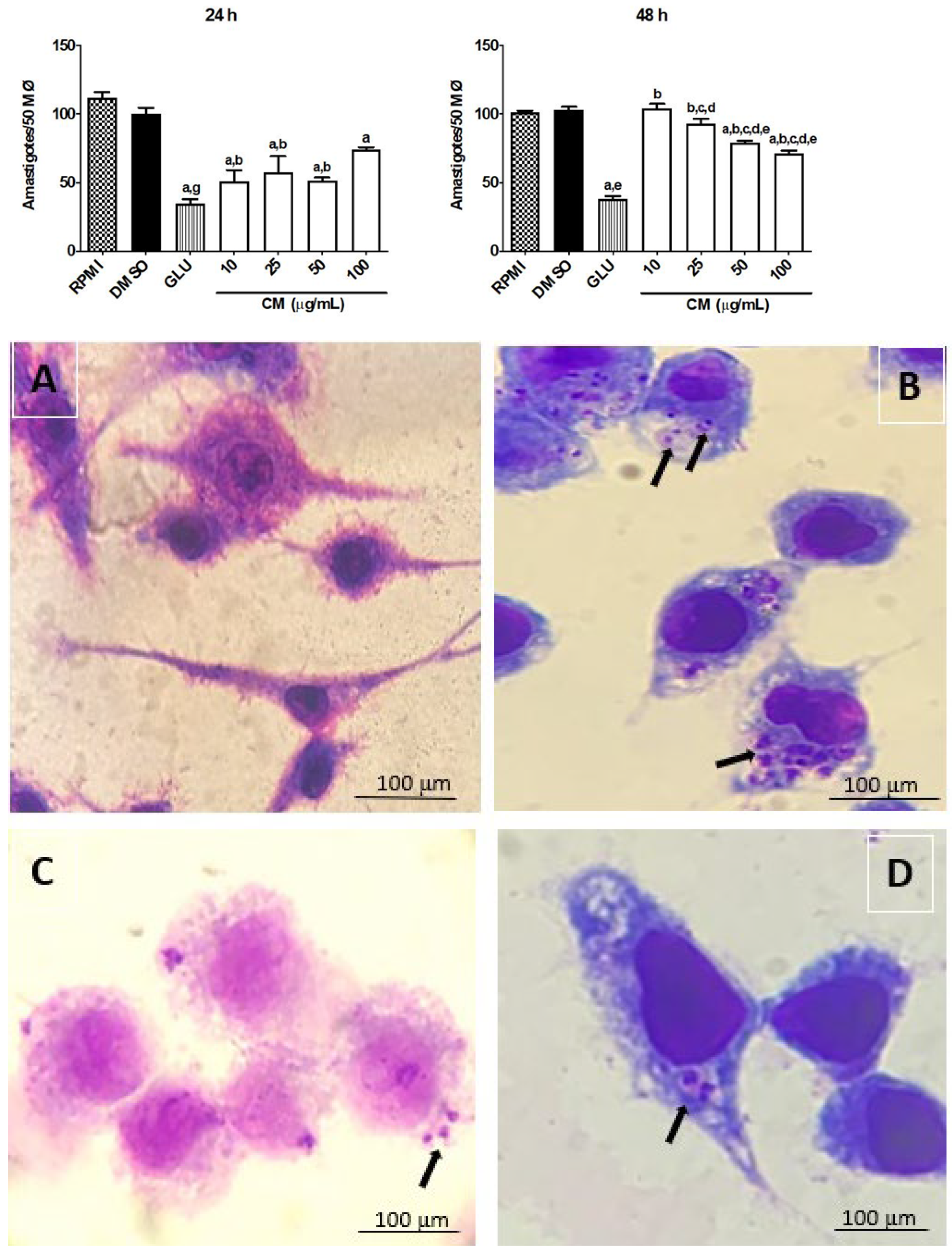 Biomedicines 13 00979 g003