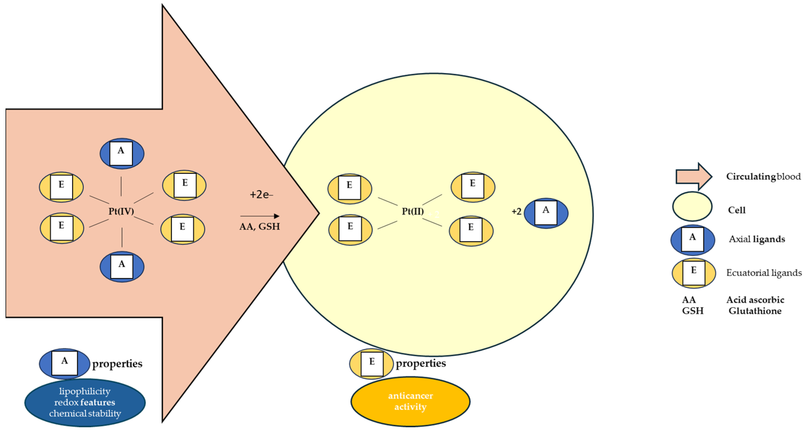 Biomedicines 13 00981 g003