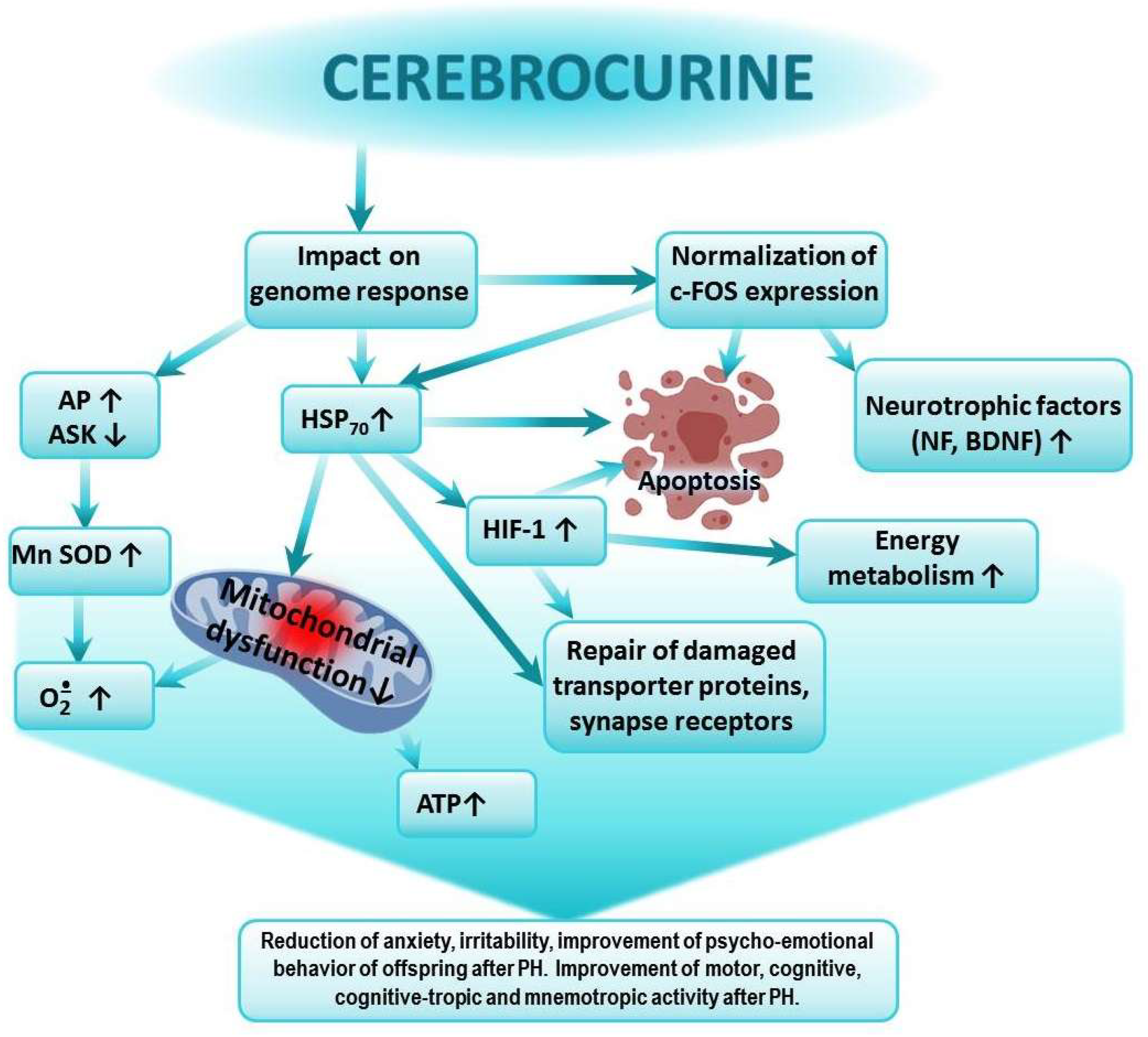 Biomedicines 13 00982 g002