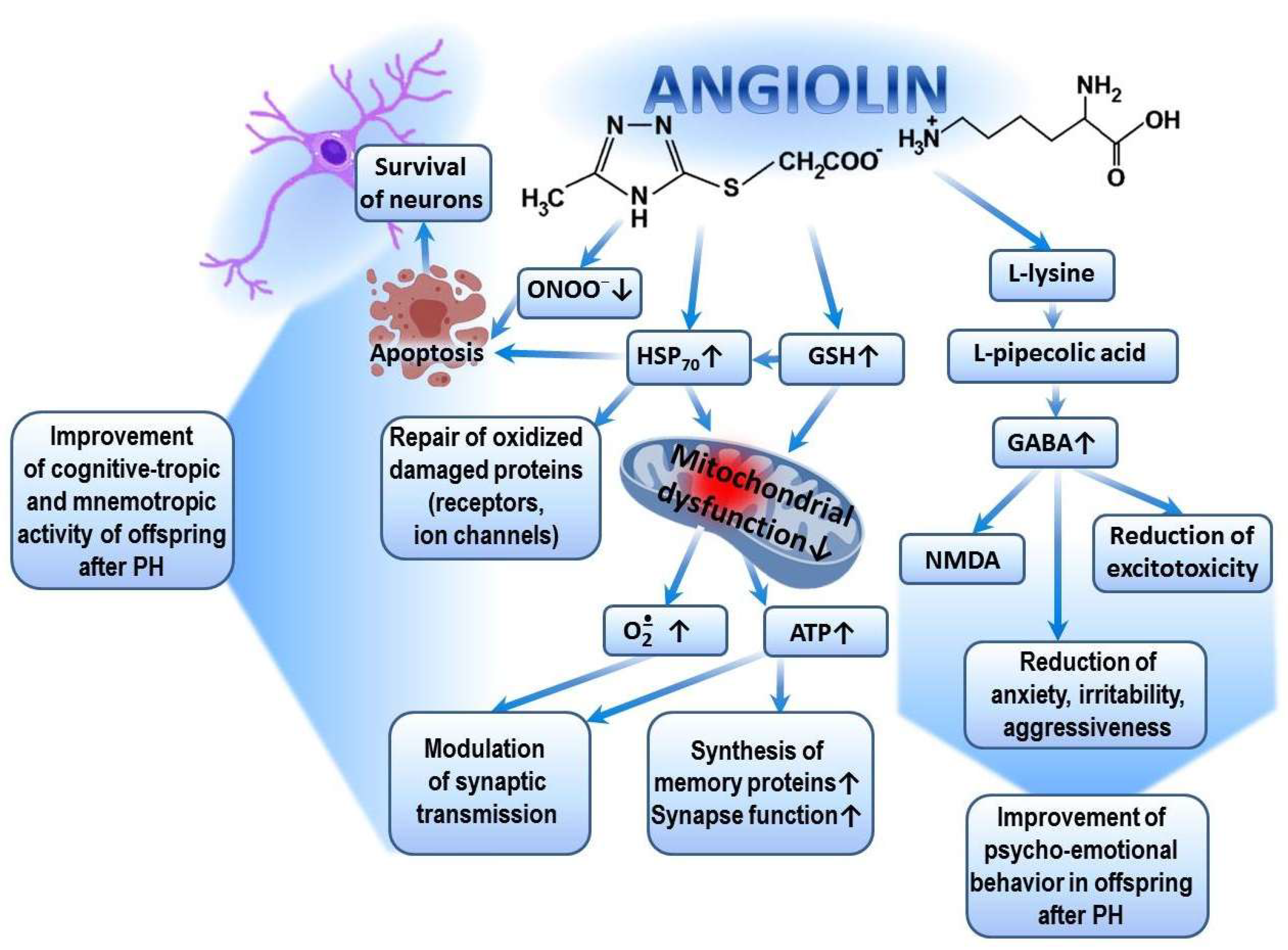 Biomedicines 13 00982 g003